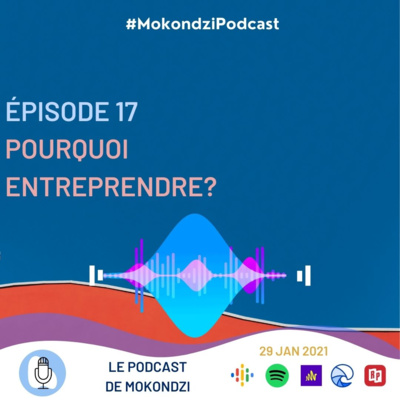 S1 EP.17 Pourquoi entreprendre?