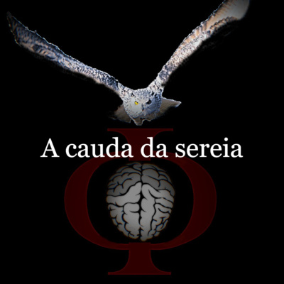 Das provocações à razão
