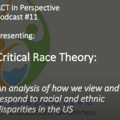 #11: Season 1, Ep 11 - Critical Race Theory: An analysis of how we view and respond to racial and ethnic disparities in the US