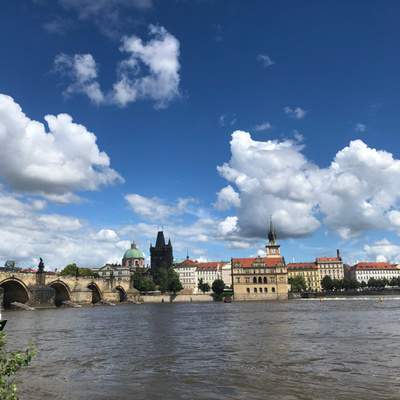 Zlatá Transformace