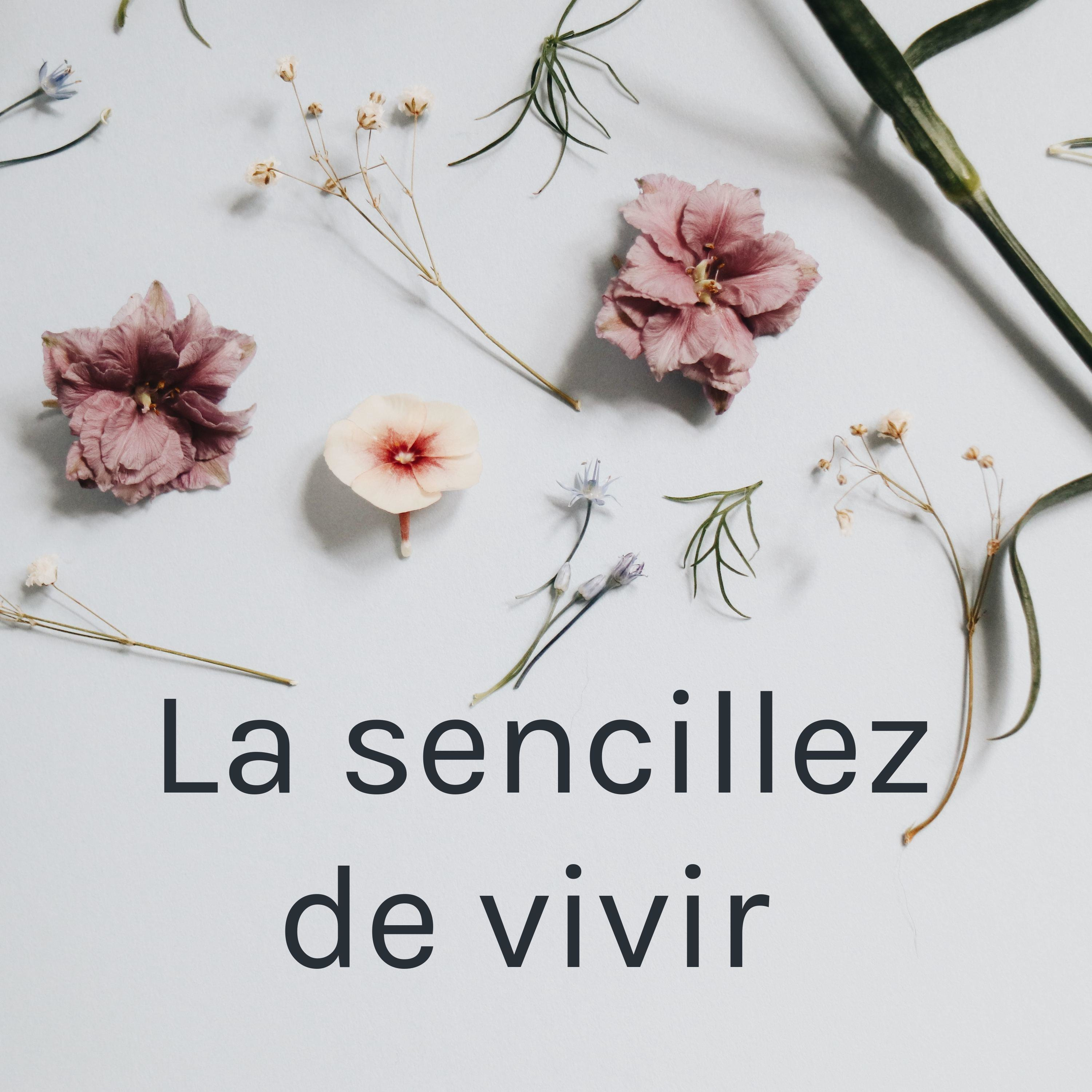 Portada de La sencillez de vivir