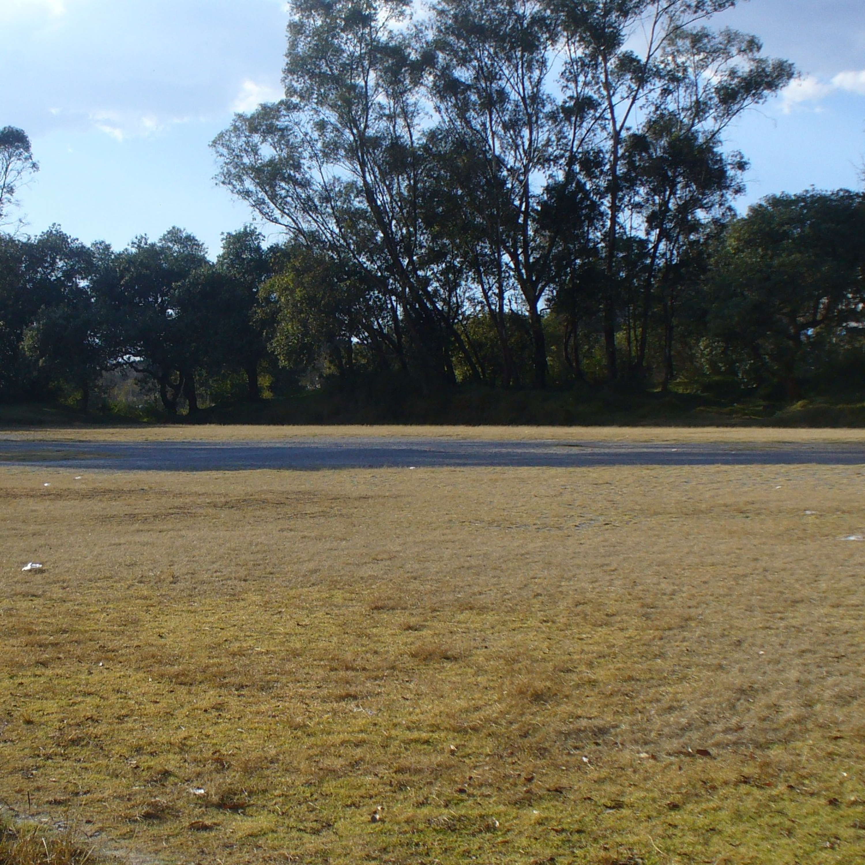 L Y M Detrás De Los Miterios cover art