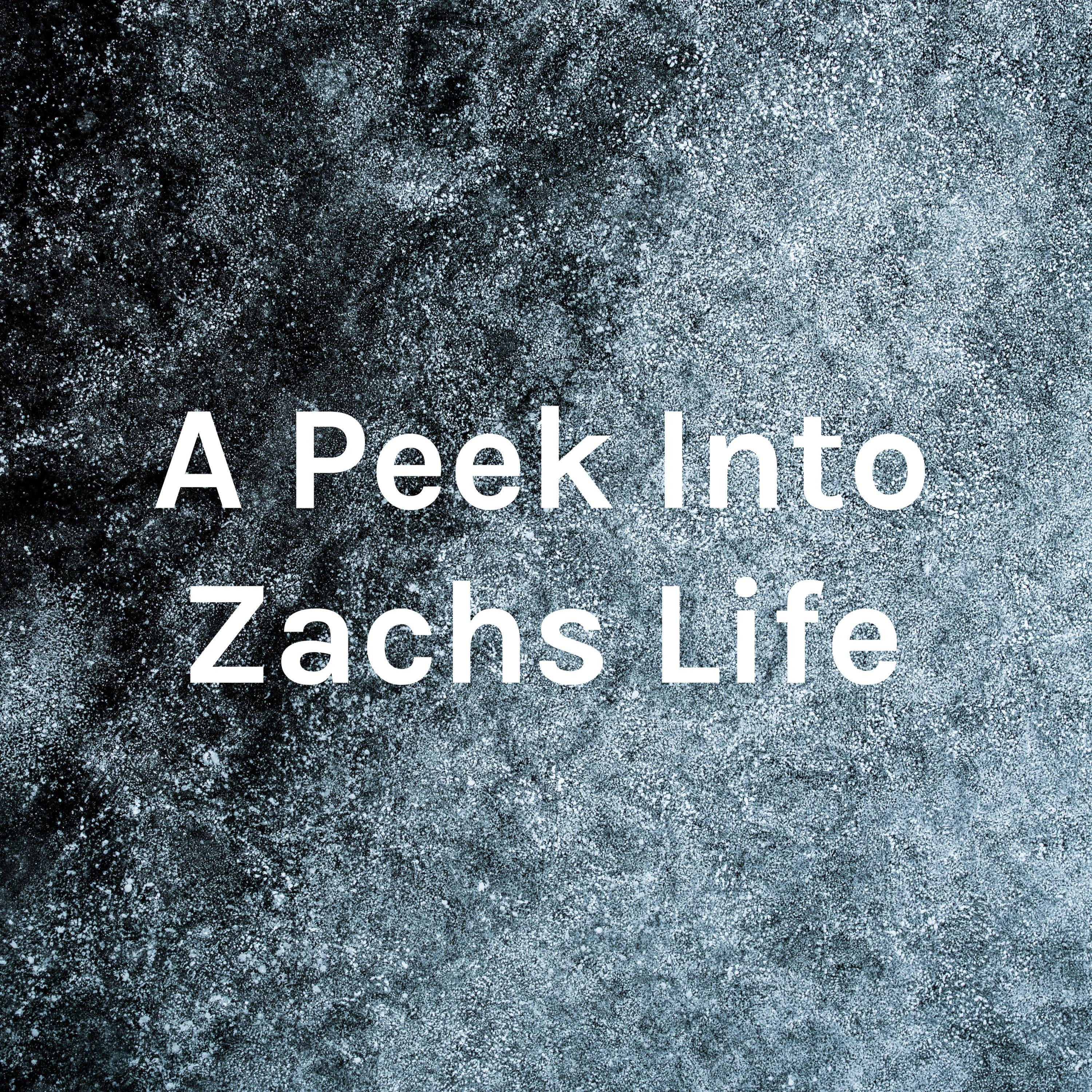 A Peek Into Zachs Life