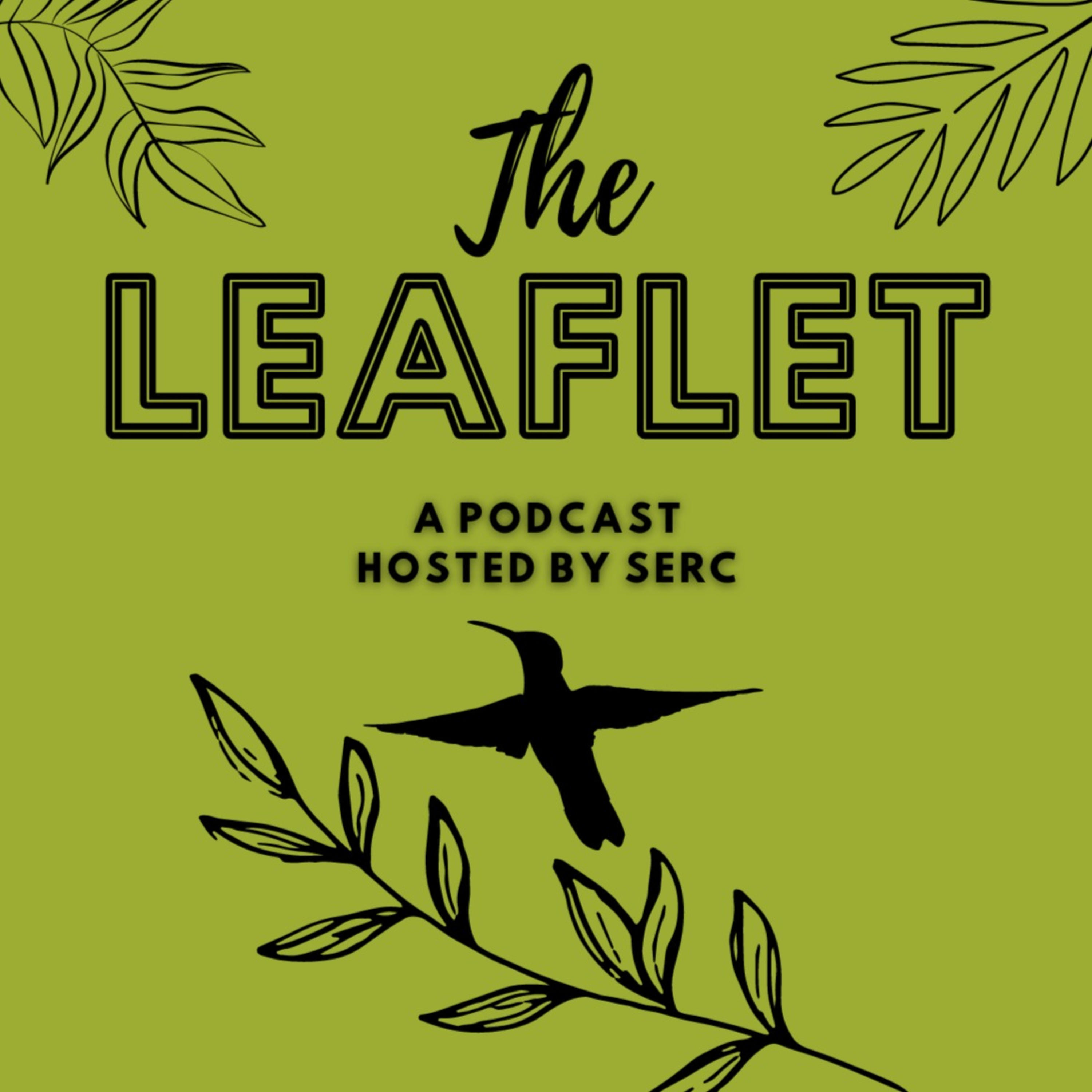 The Leaflet podcast artwork