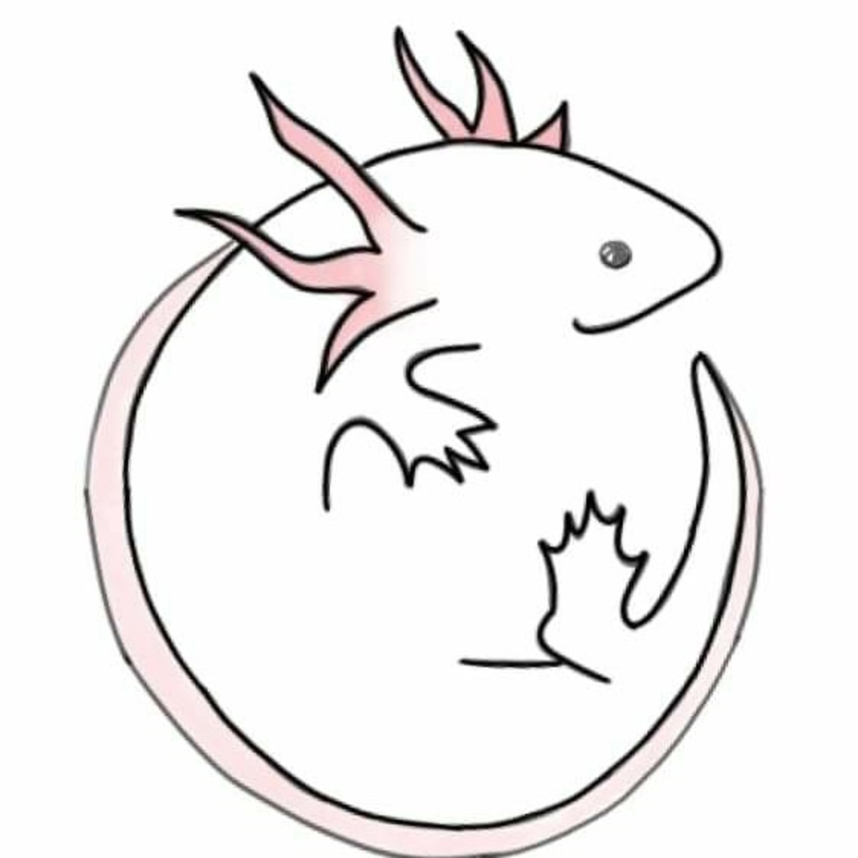 Radio Istak Axolotl 