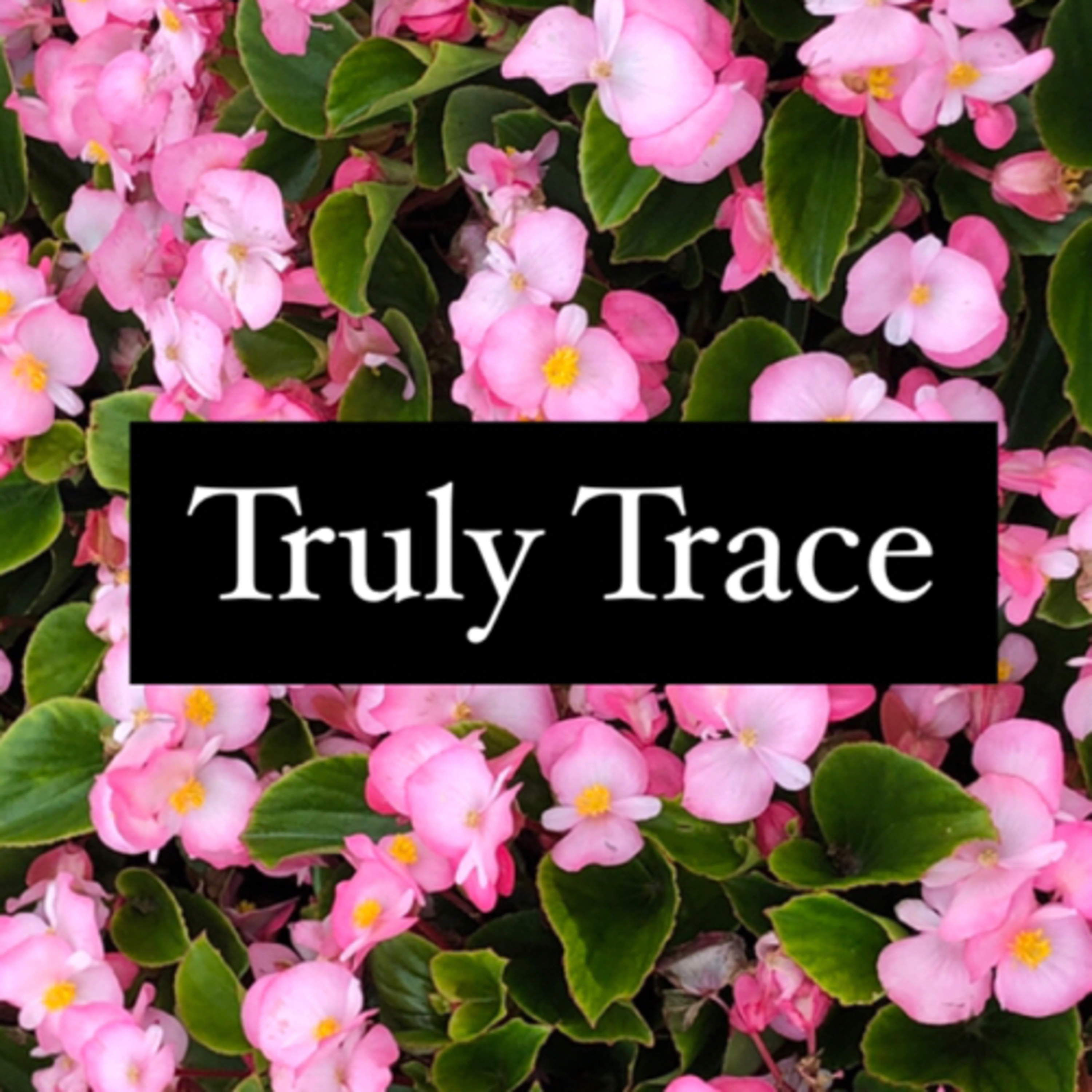 Trulytrace