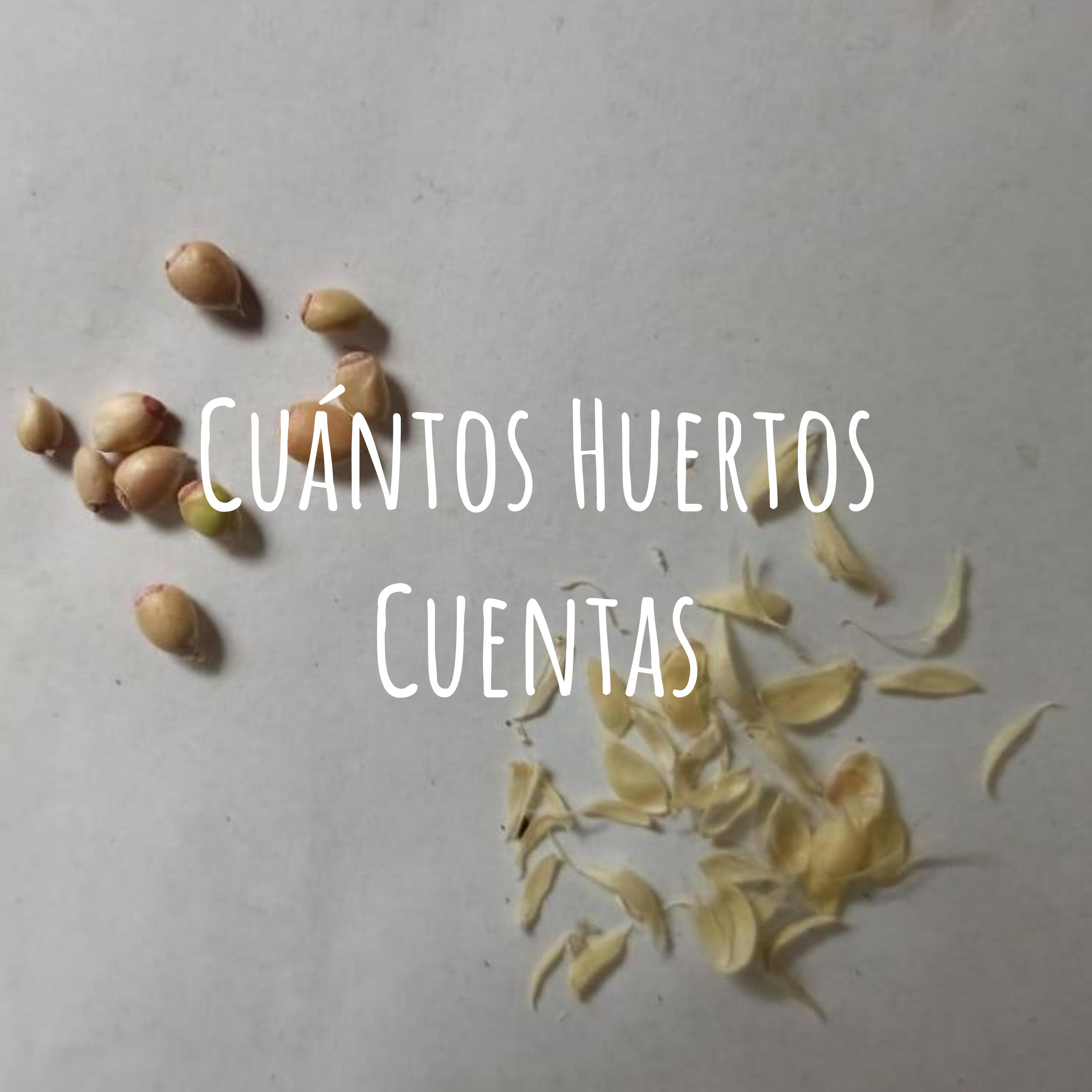 Cuántos Huertos Cuentas