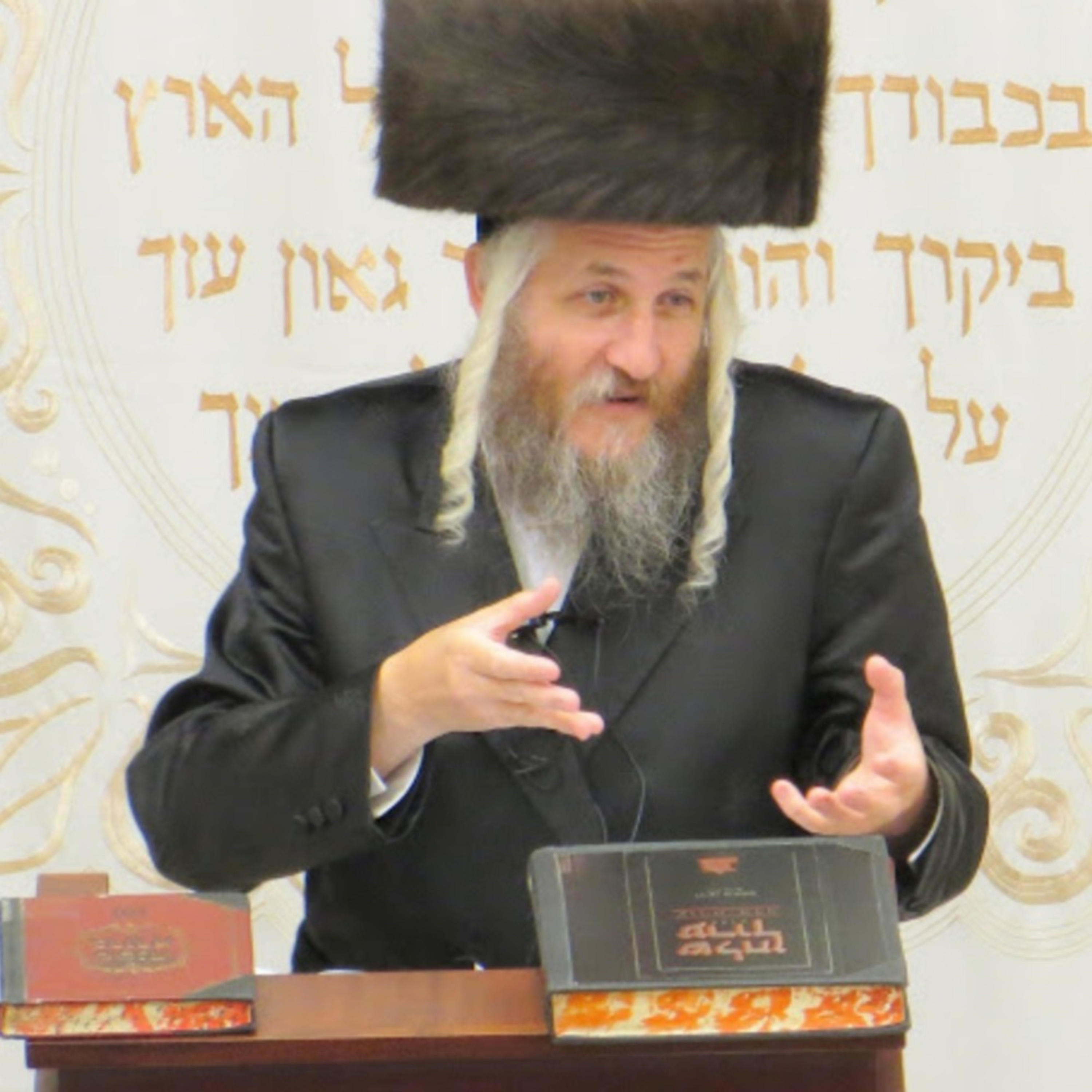 שיעורי רמב"ם artwork