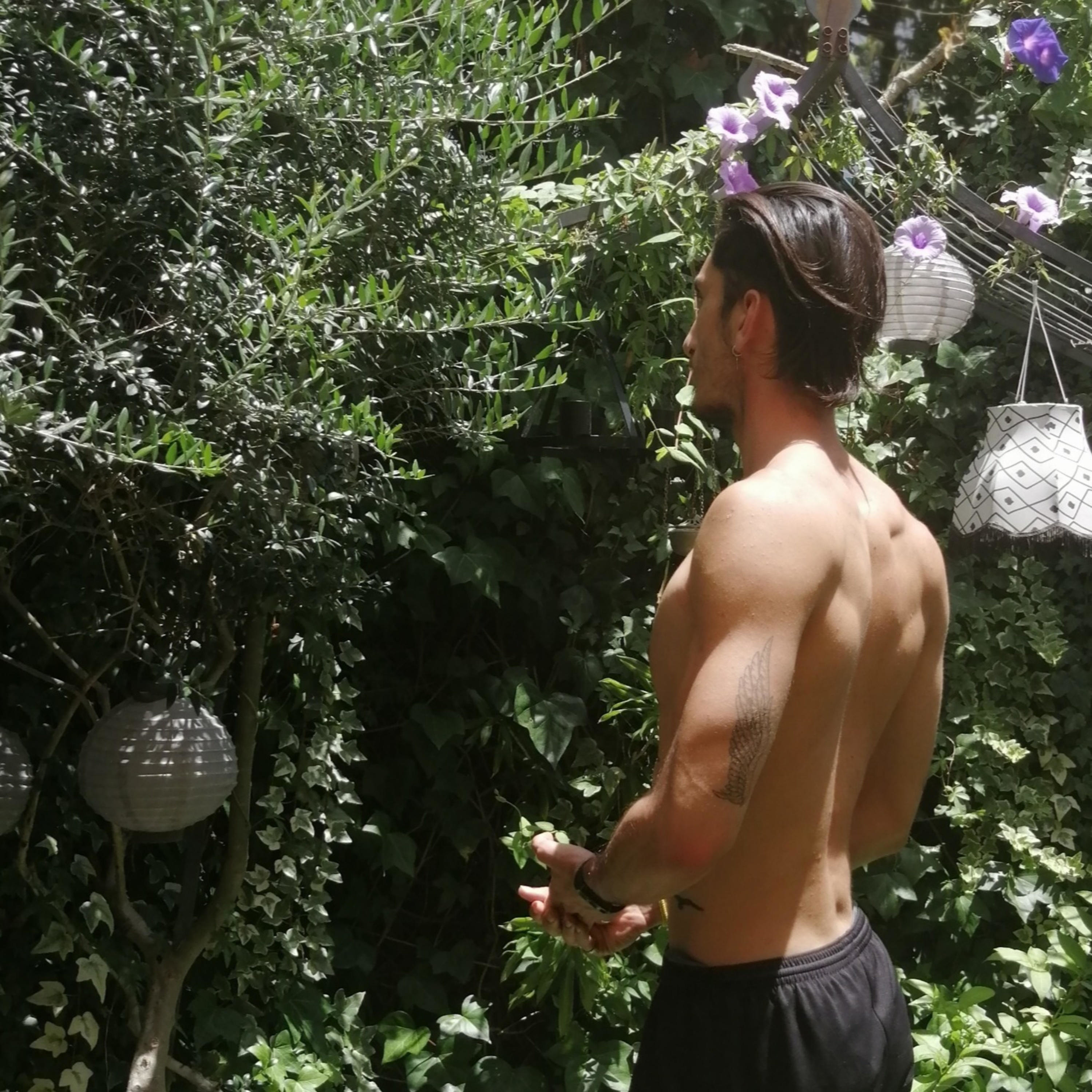 Fitimtrainer
