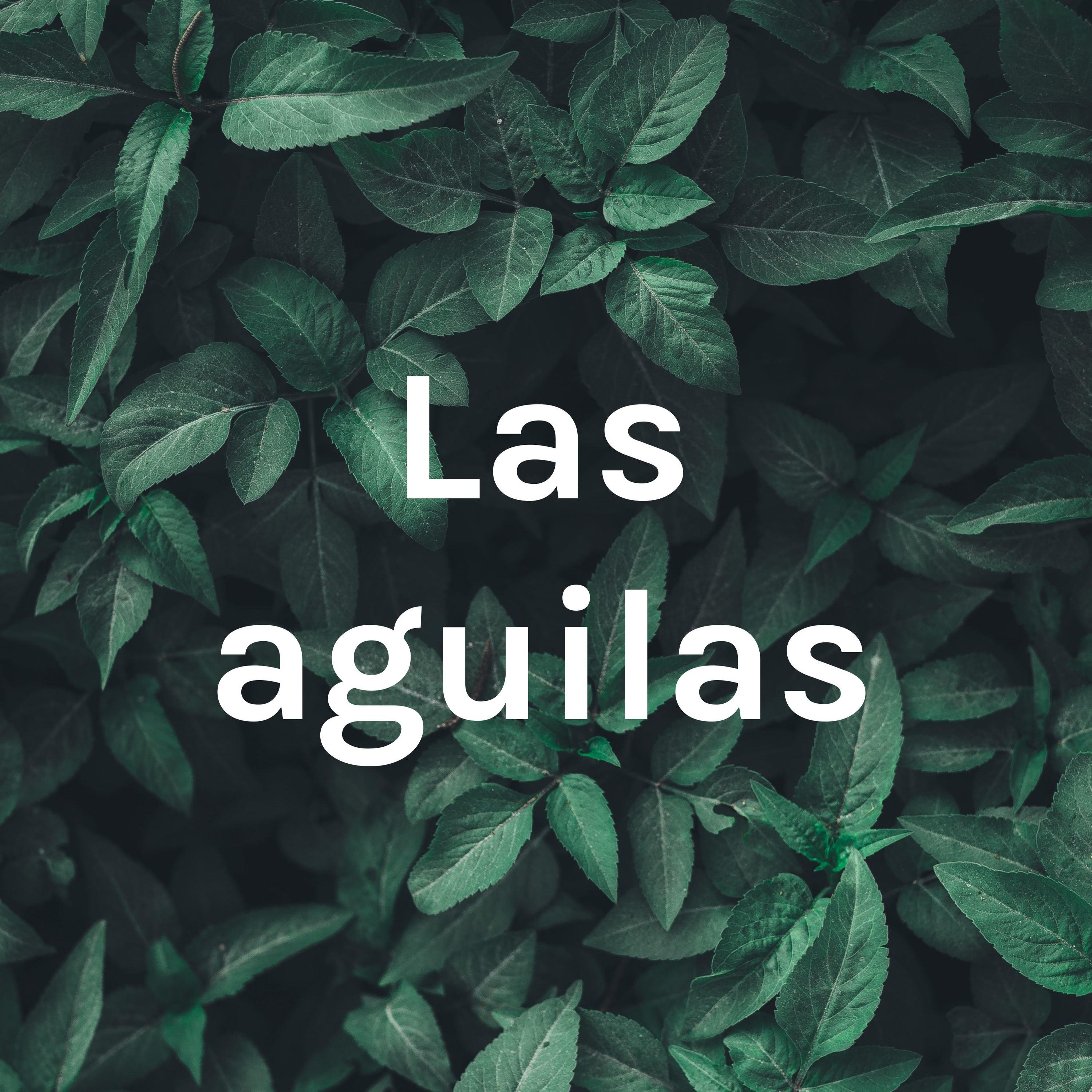 Las aguilas