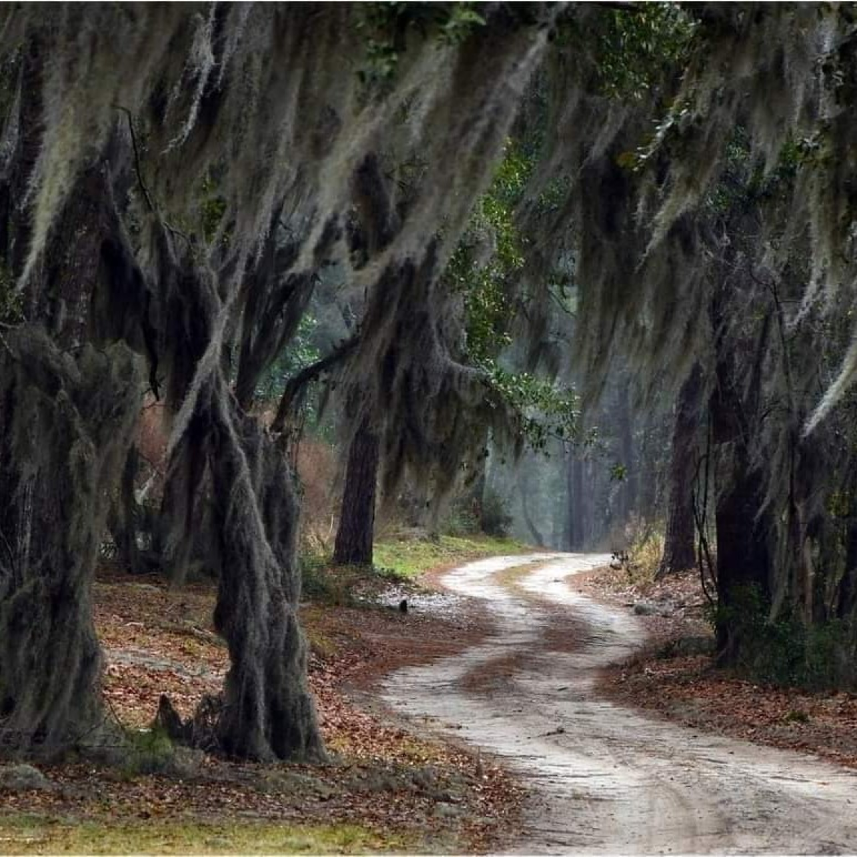 Voices along the Way