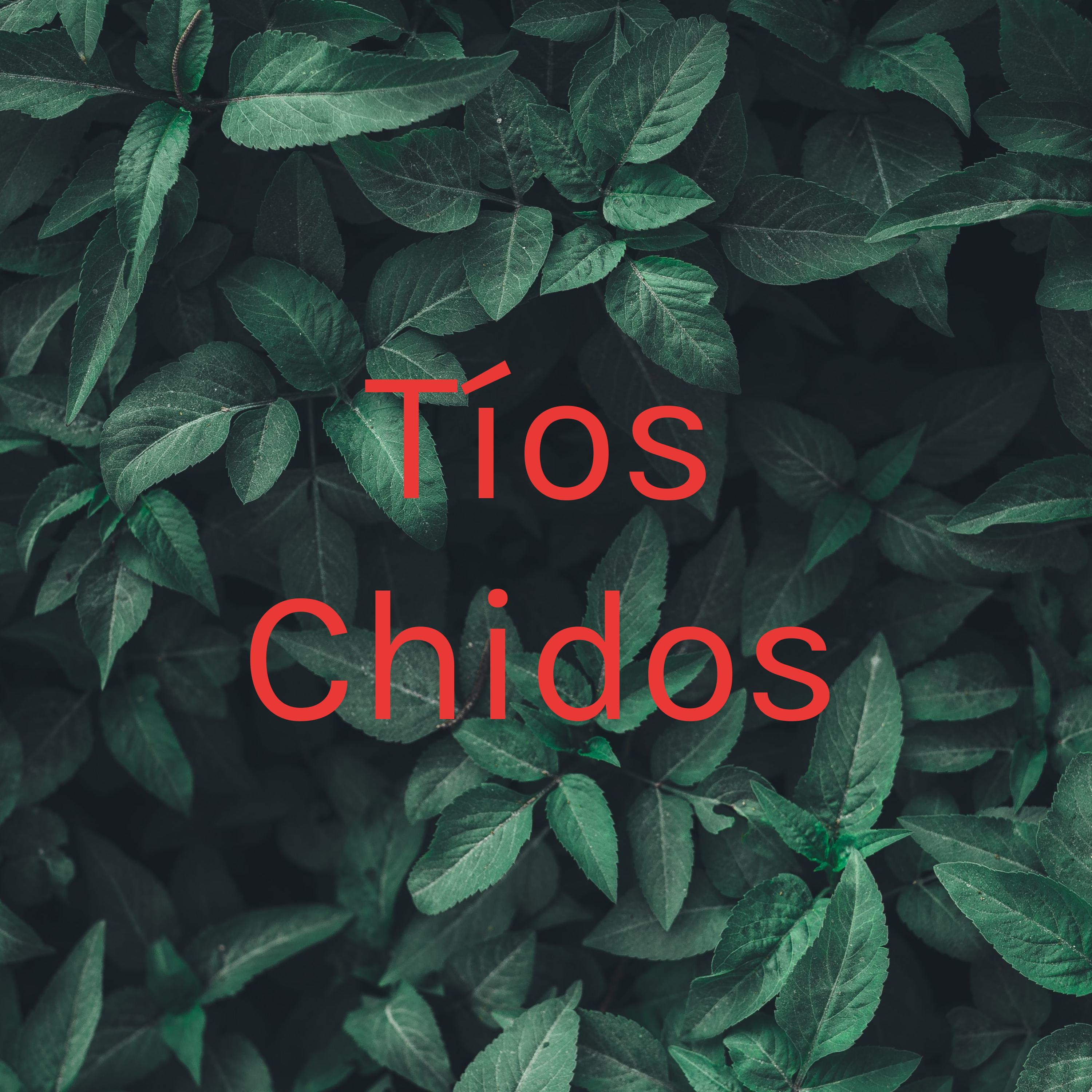 Tíos Chidos