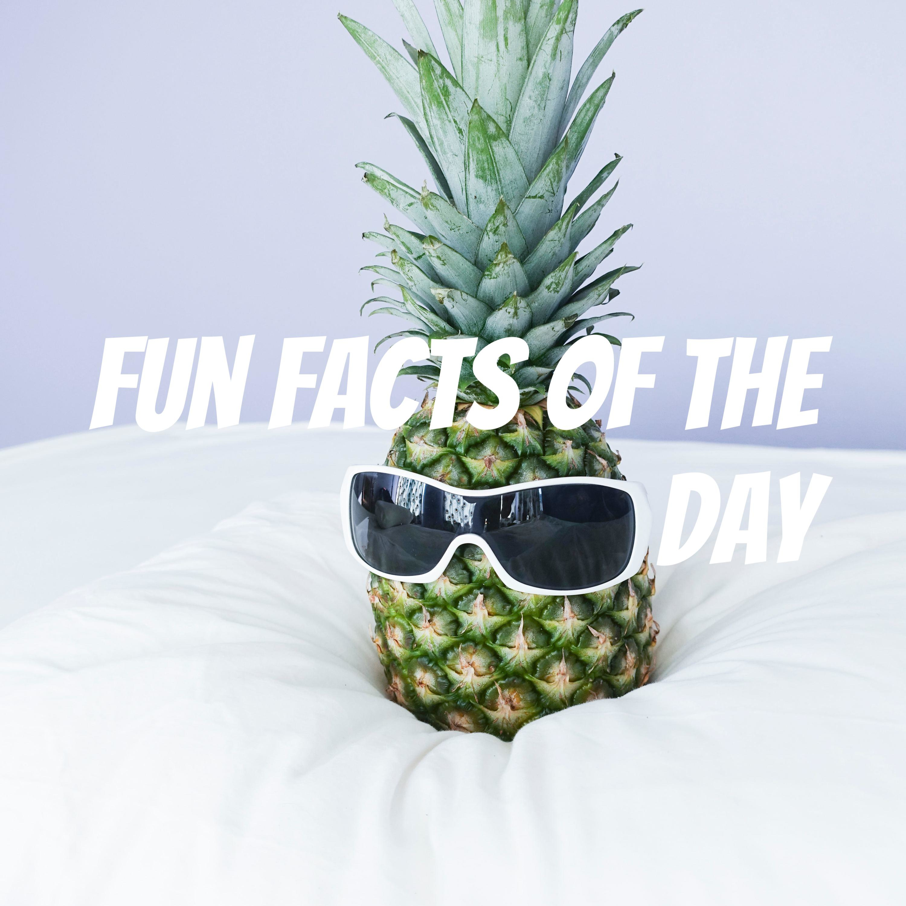 Fun Facts of the Day