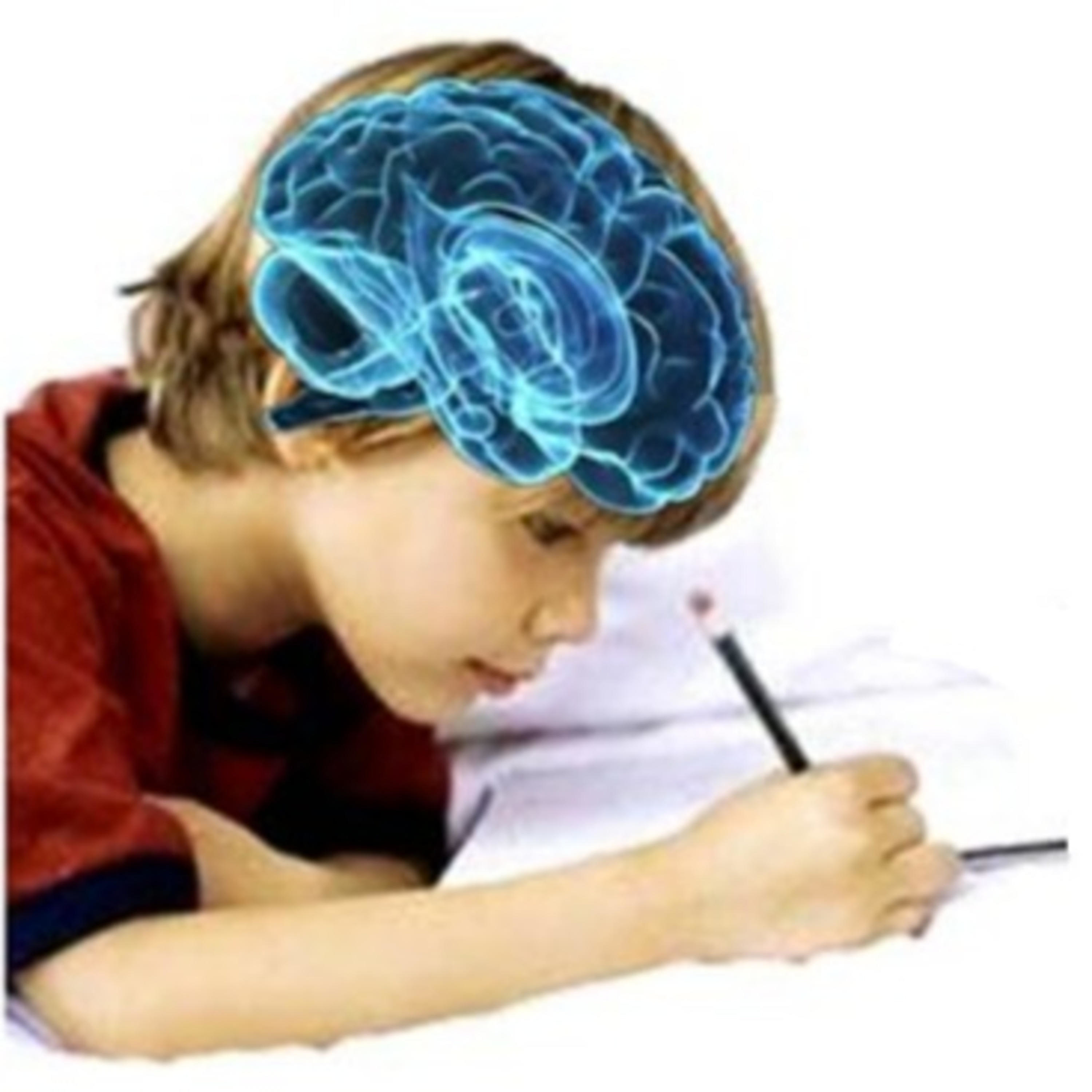 La neuroeducación en Venezuela: una aventura del conocimiento.