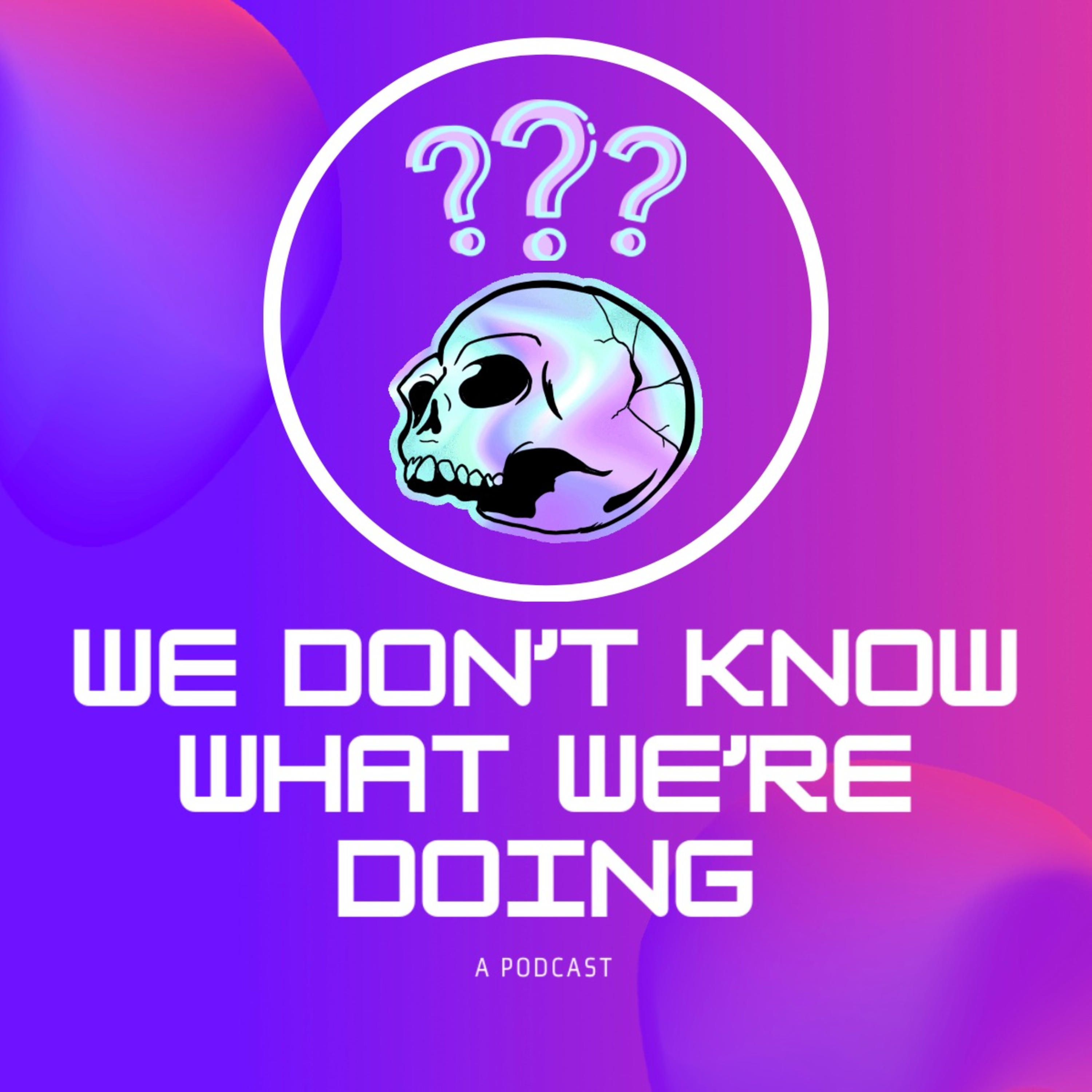 We Don’t Know What We’re Doing We Don’t Know What We’re Doing