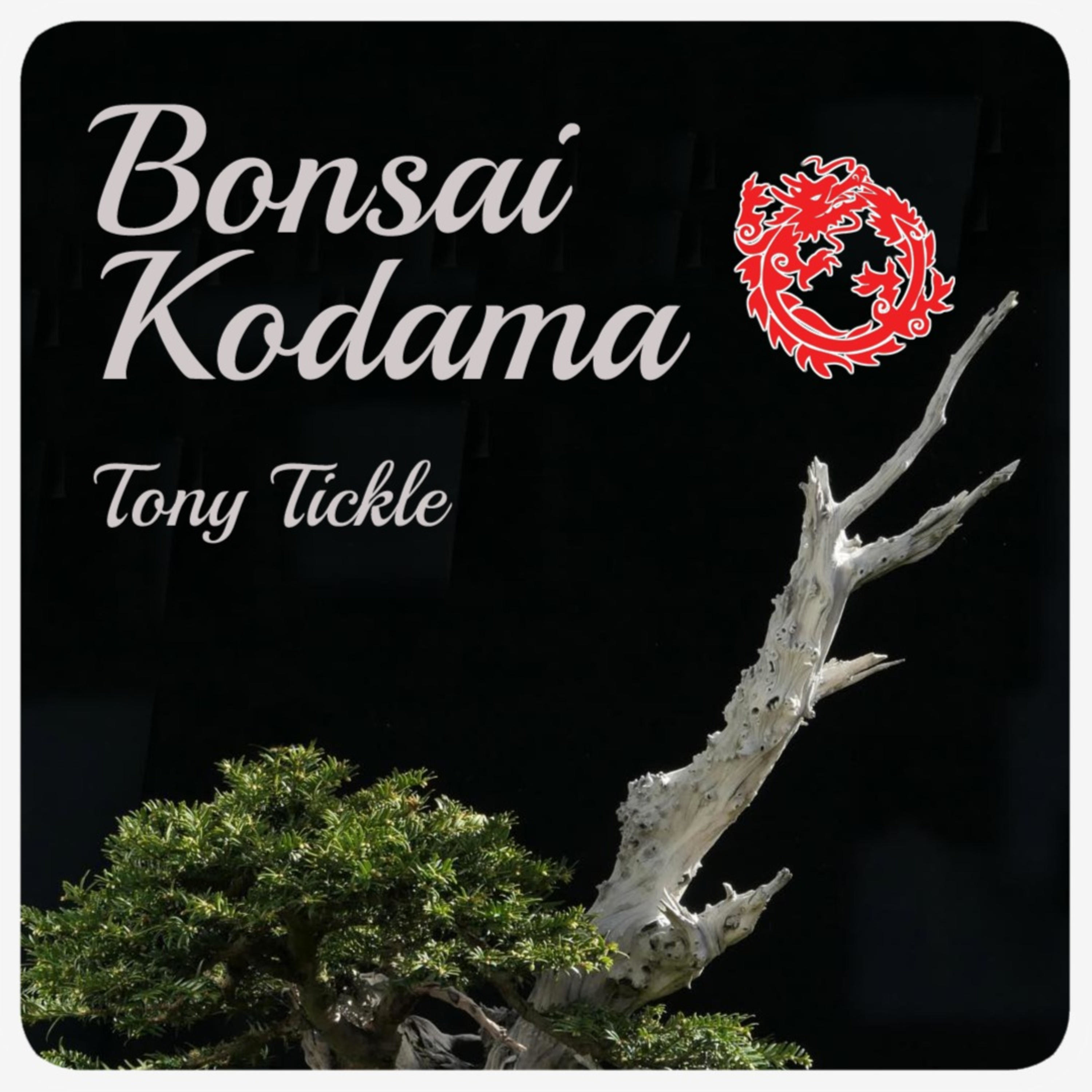 Bonsai Kodama 