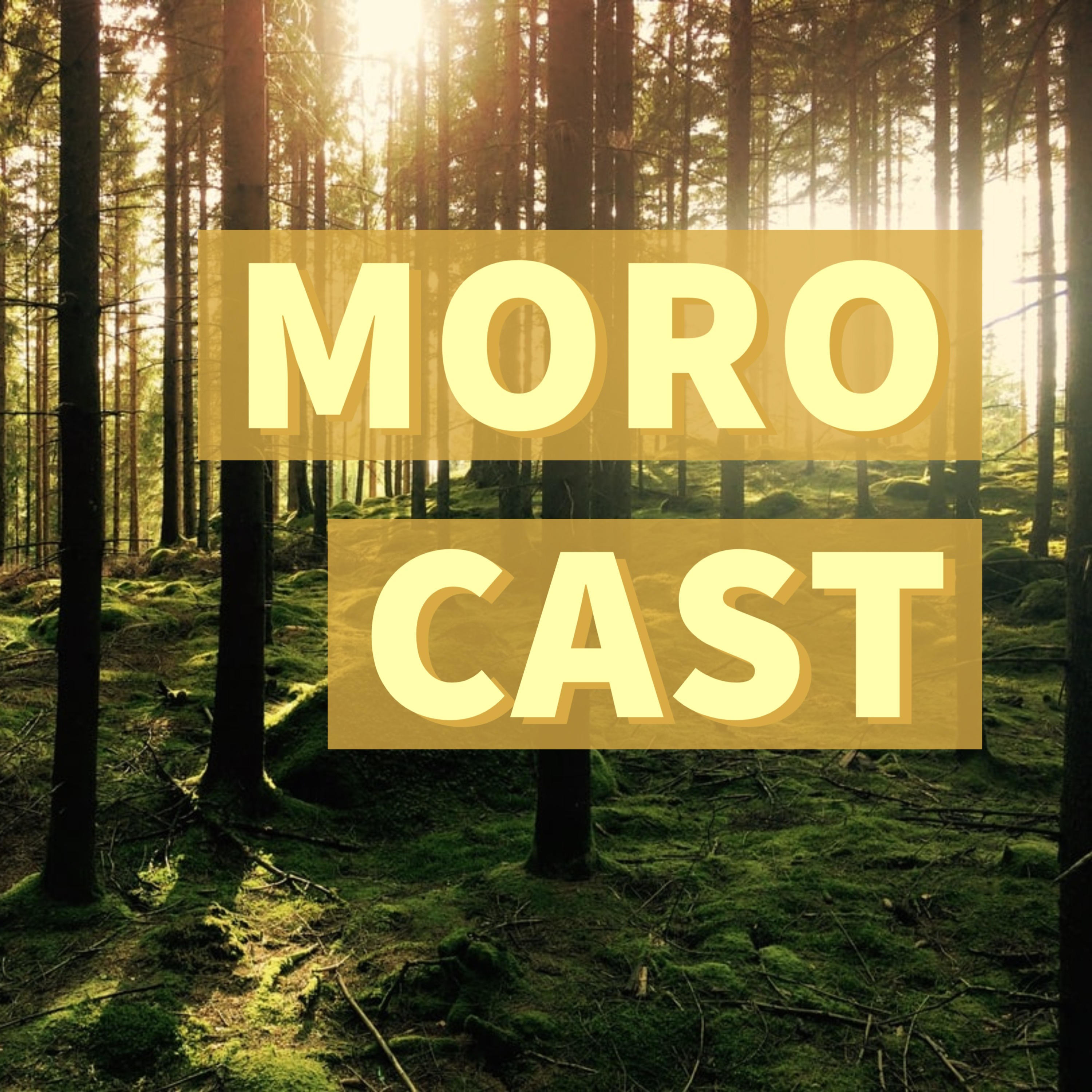 Morocast