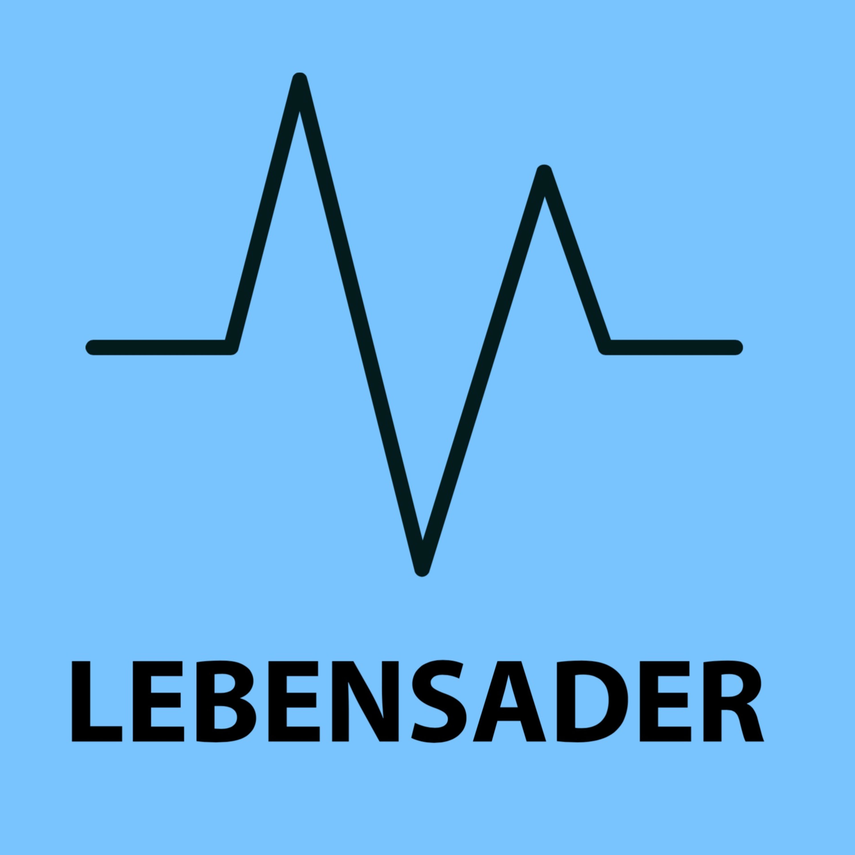 Lebensader #13 // OMAD, die 23-1 Diät