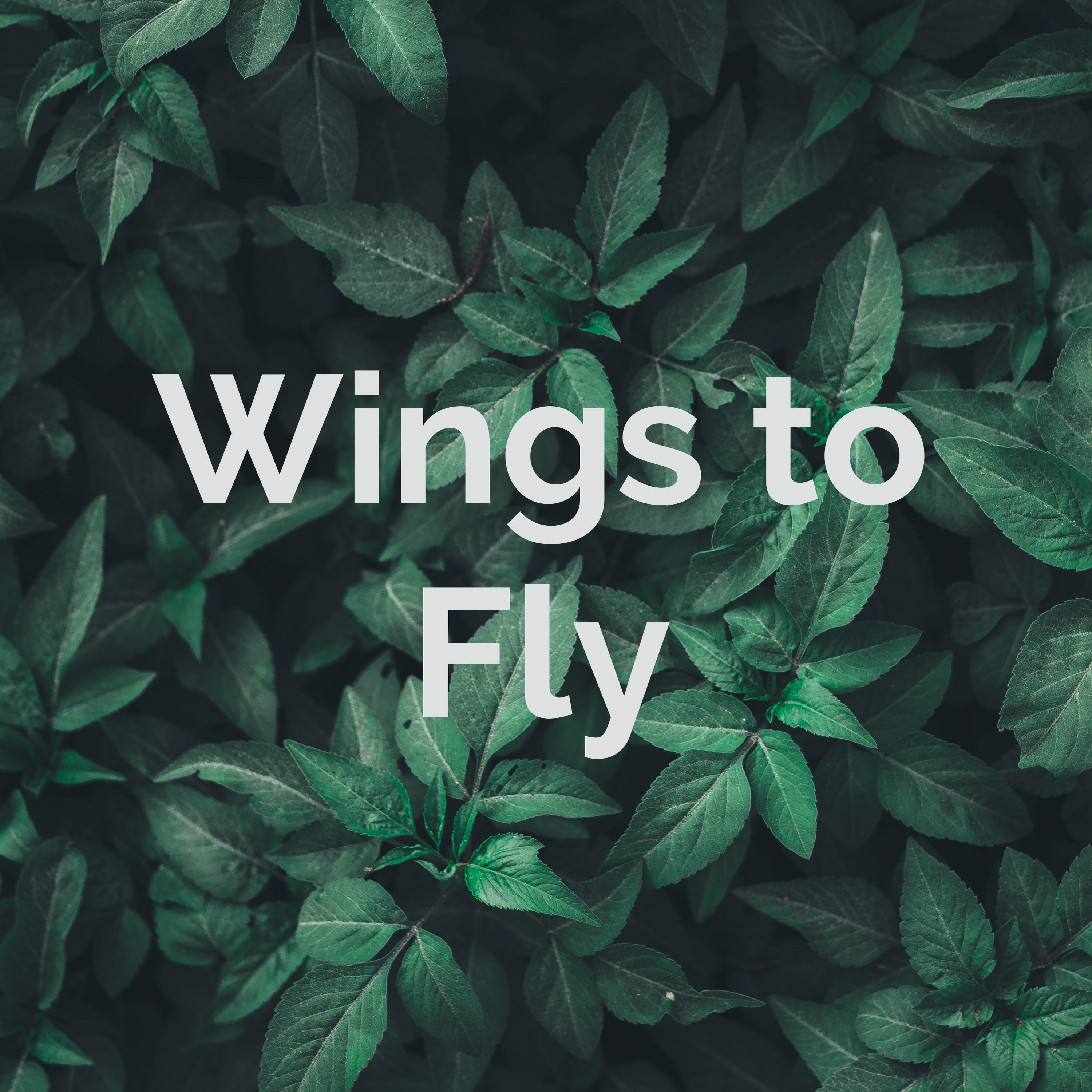 Wings to Fly