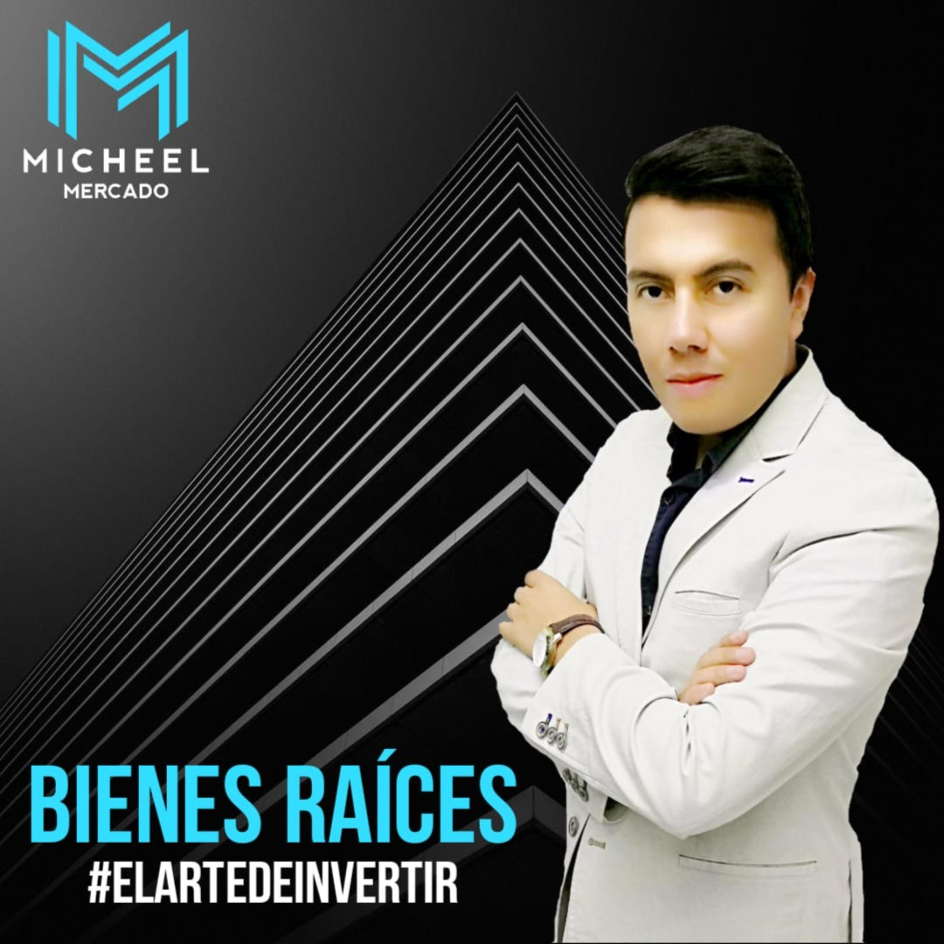 Micheel Mercado Bienes Raíces