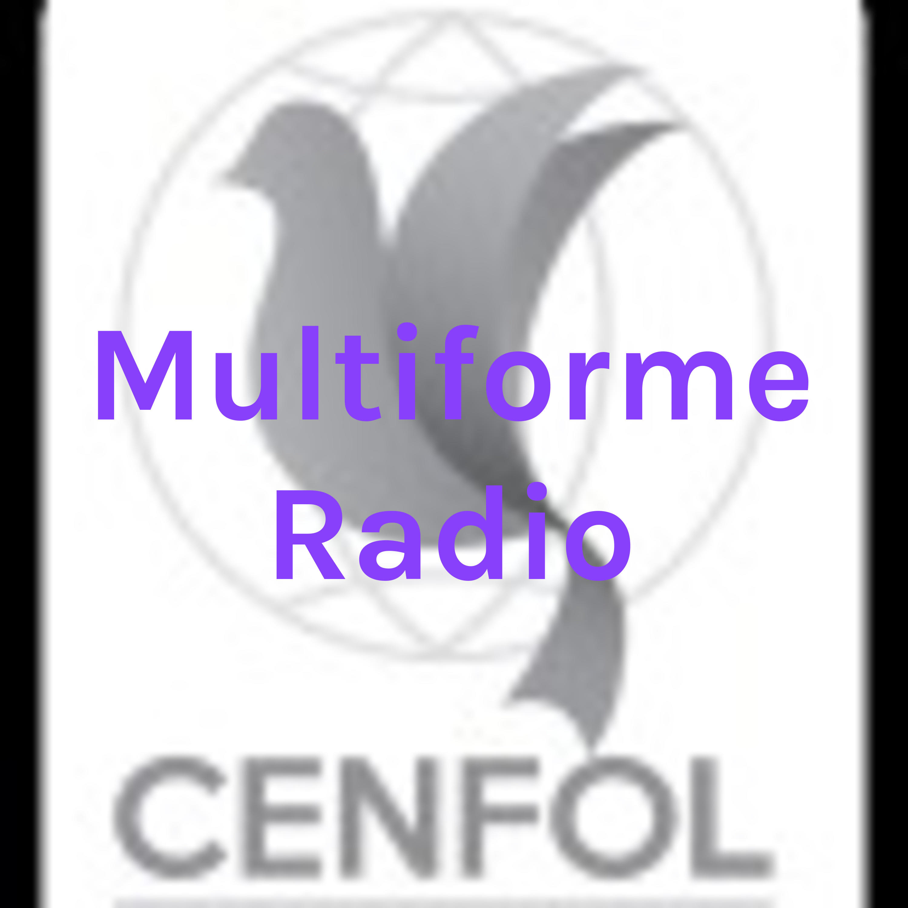 Multiforme Radio