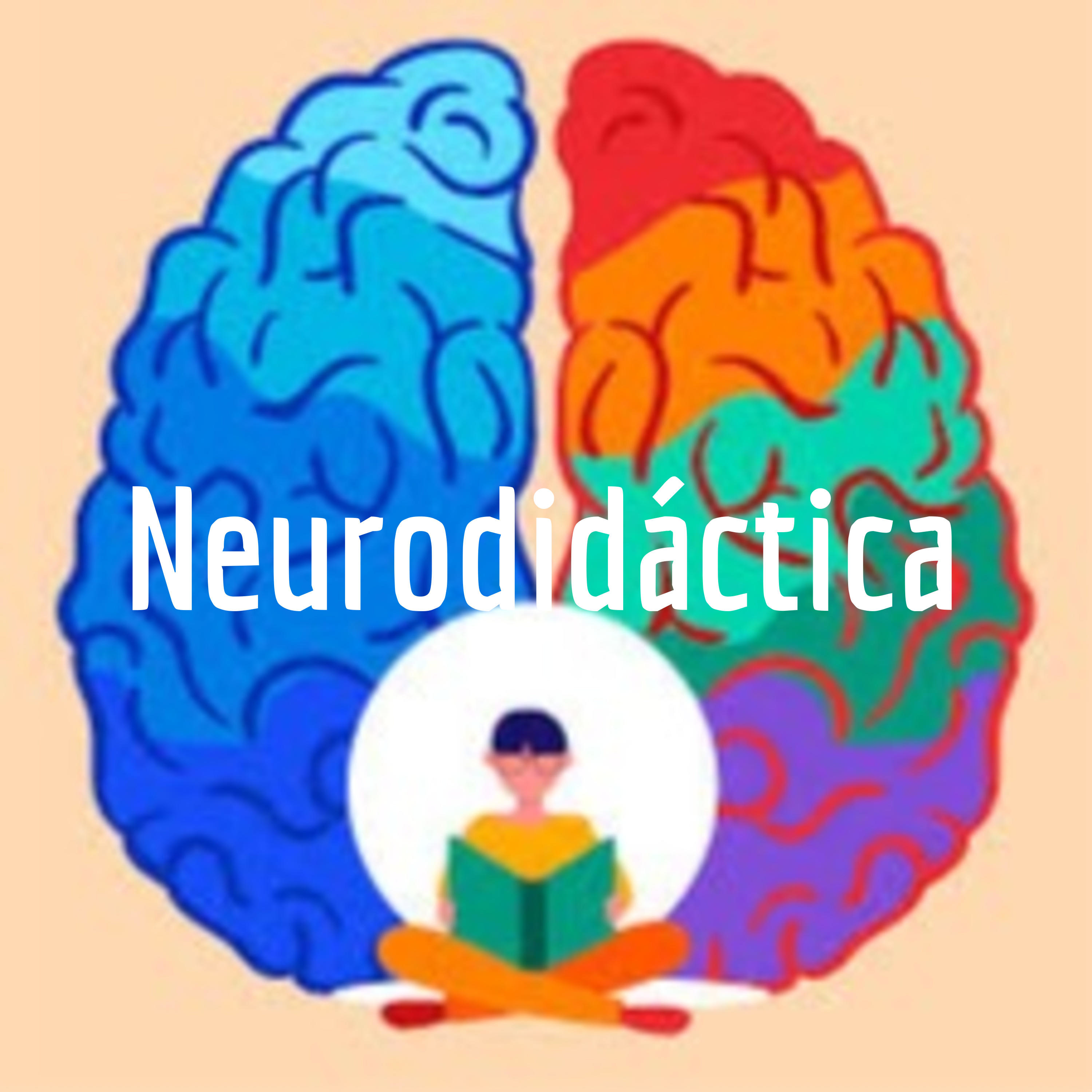 Neurodidáctica