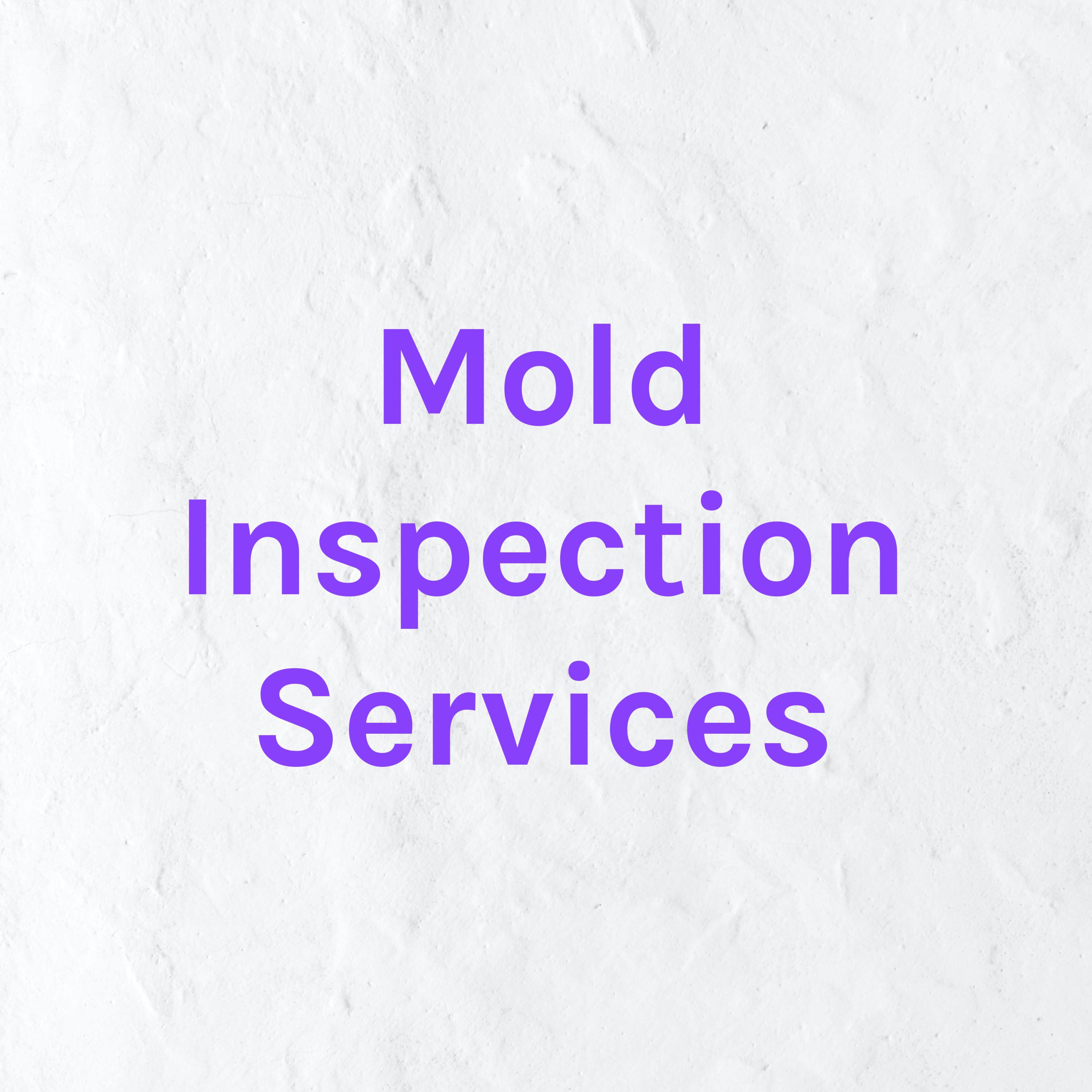 Mold Inspection Services