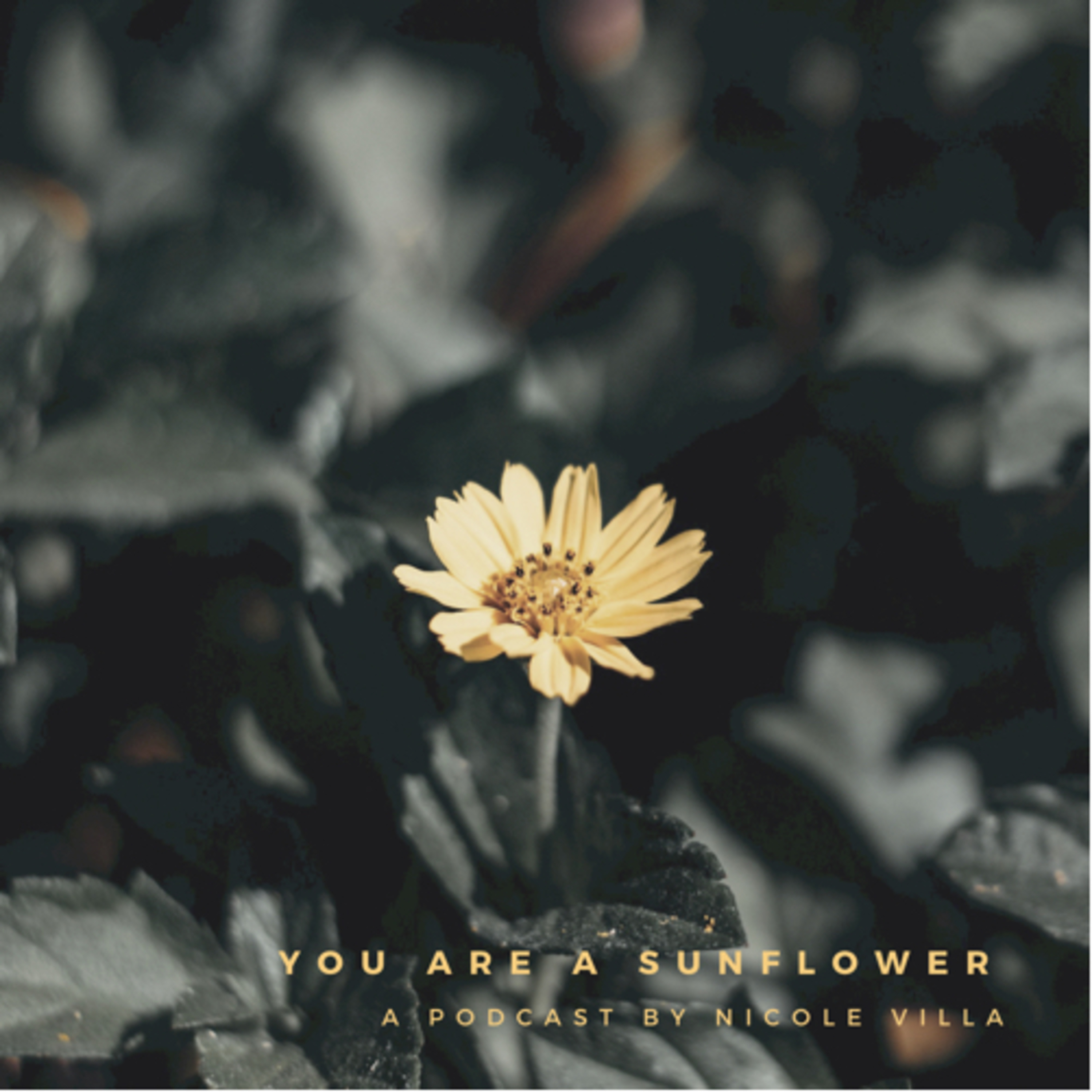 You Are A Sunflower