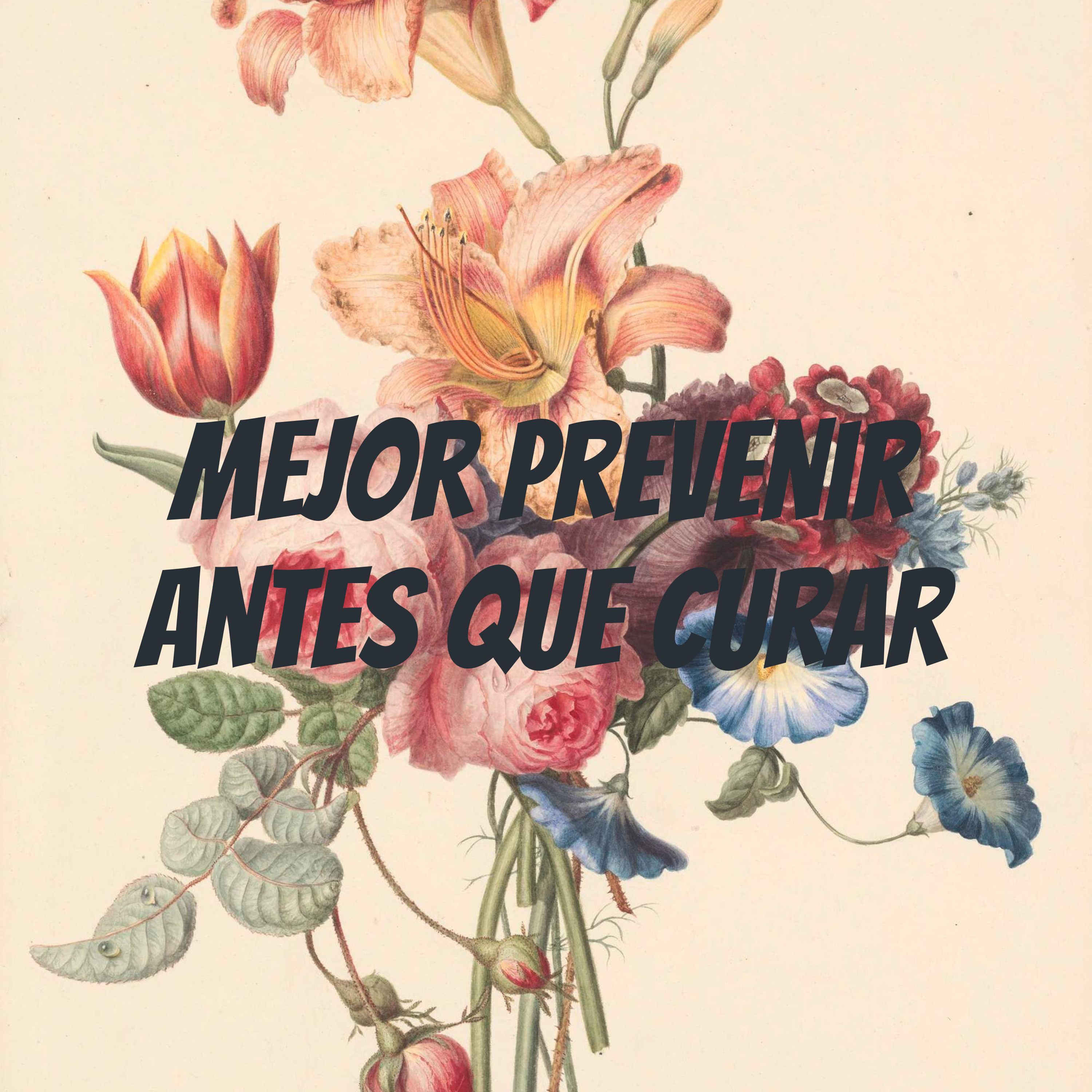 Mejor prevenir antes que curar