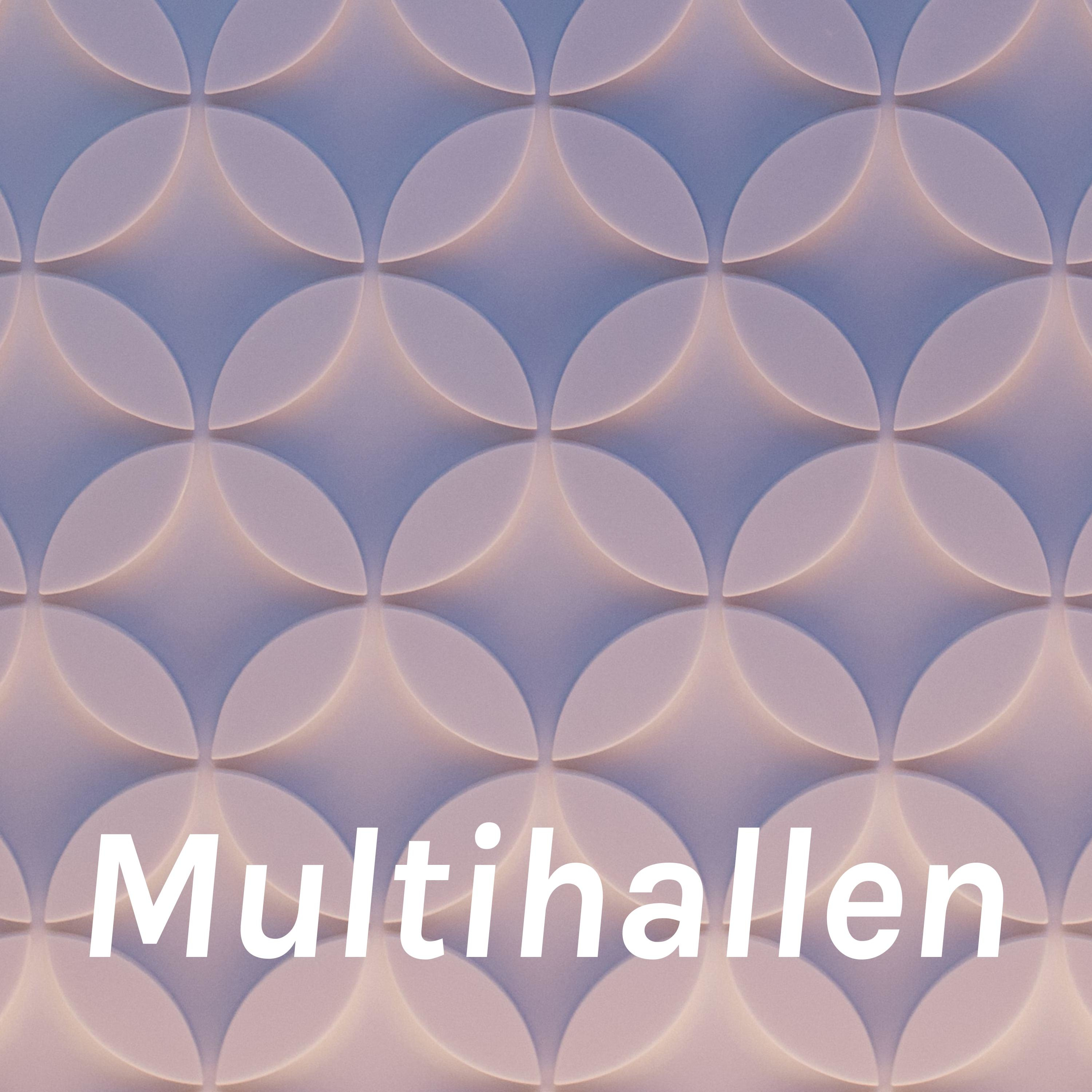 Multihallen af Ian Svane