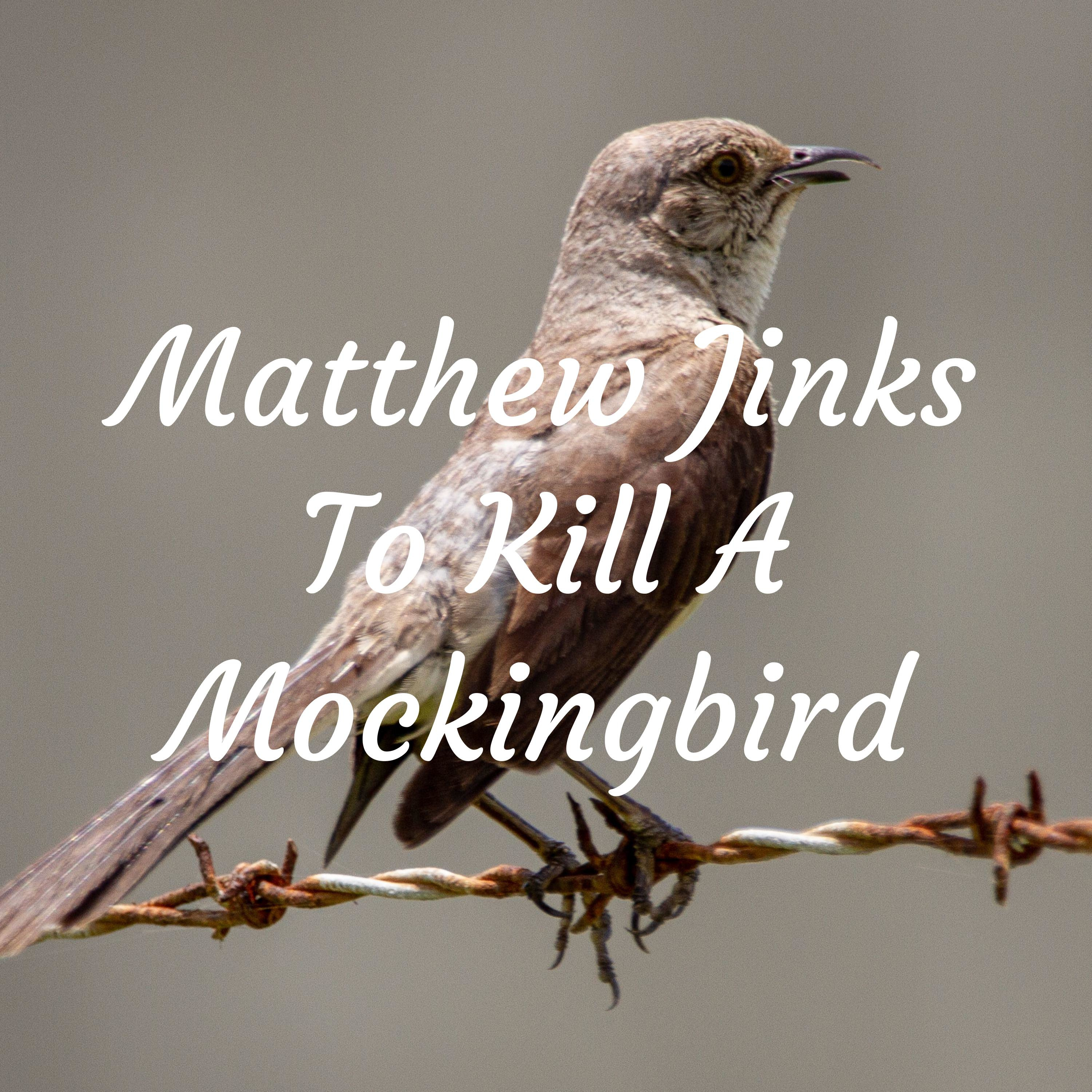 Matthew Jinks To Kill A Mockingbird 
