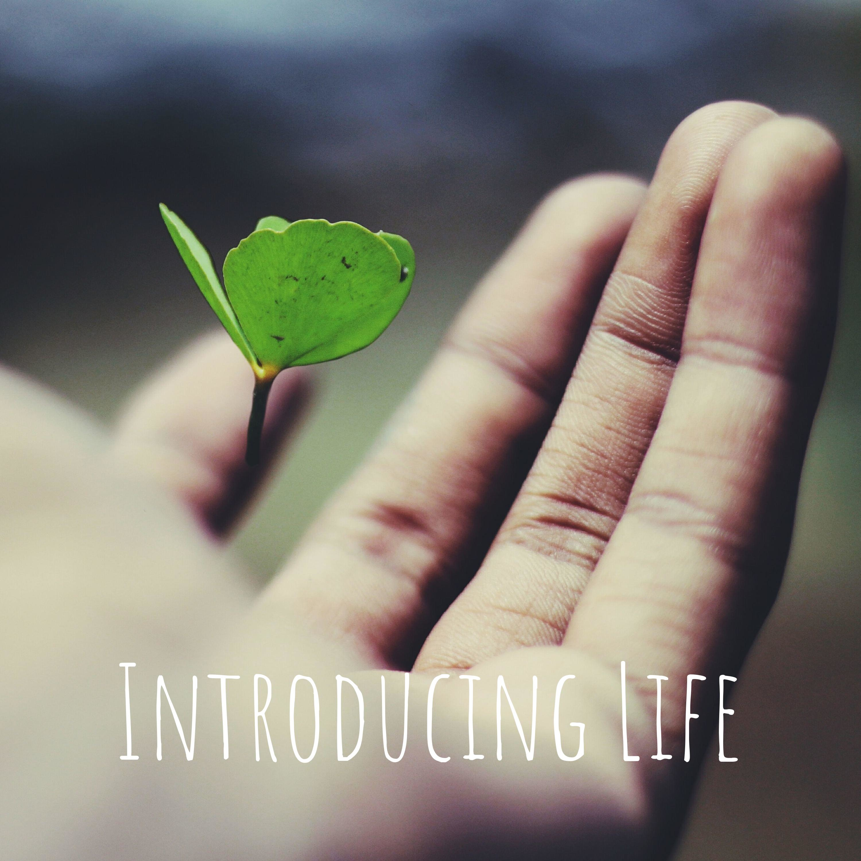 Introducing Life podcast artwork