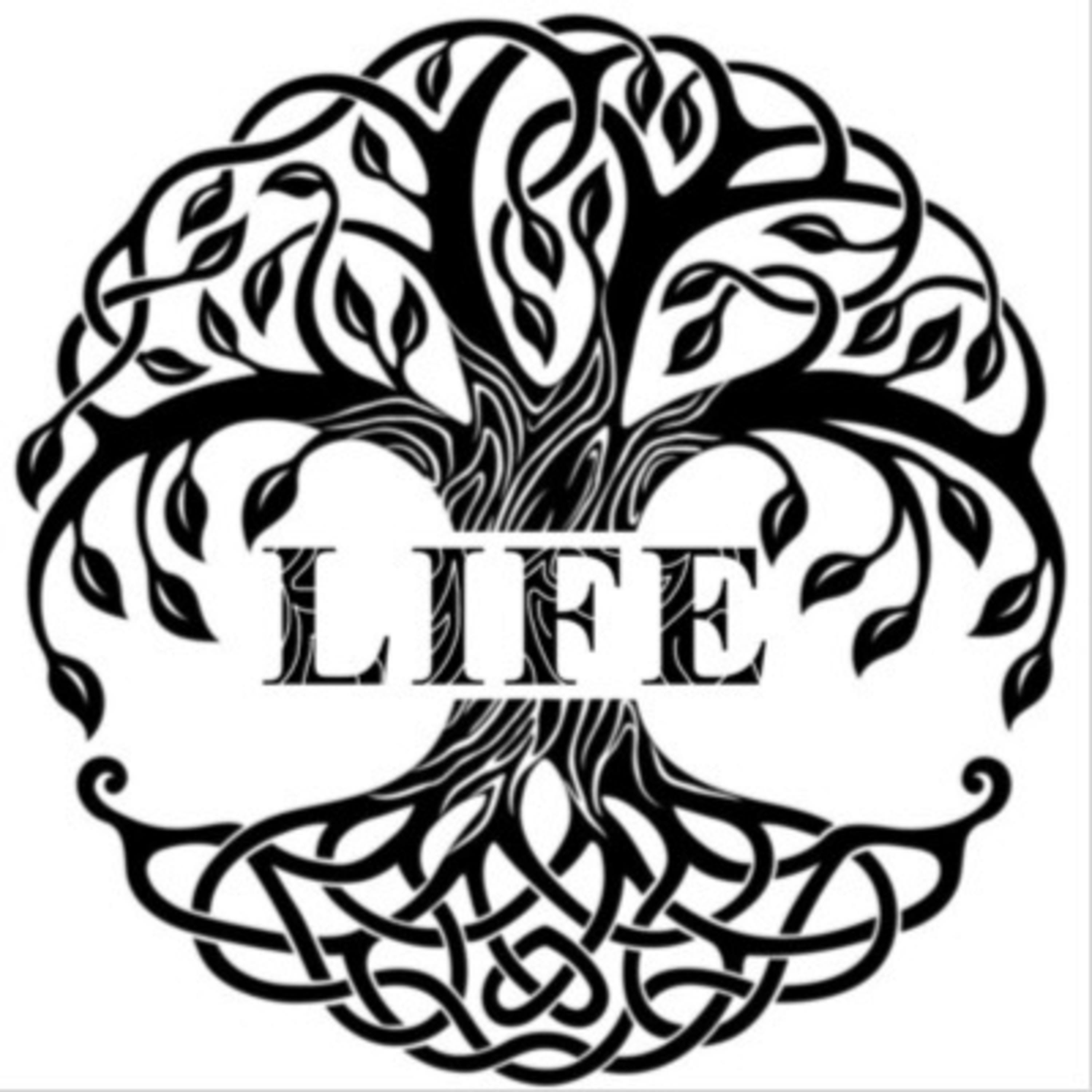 Introducing Life