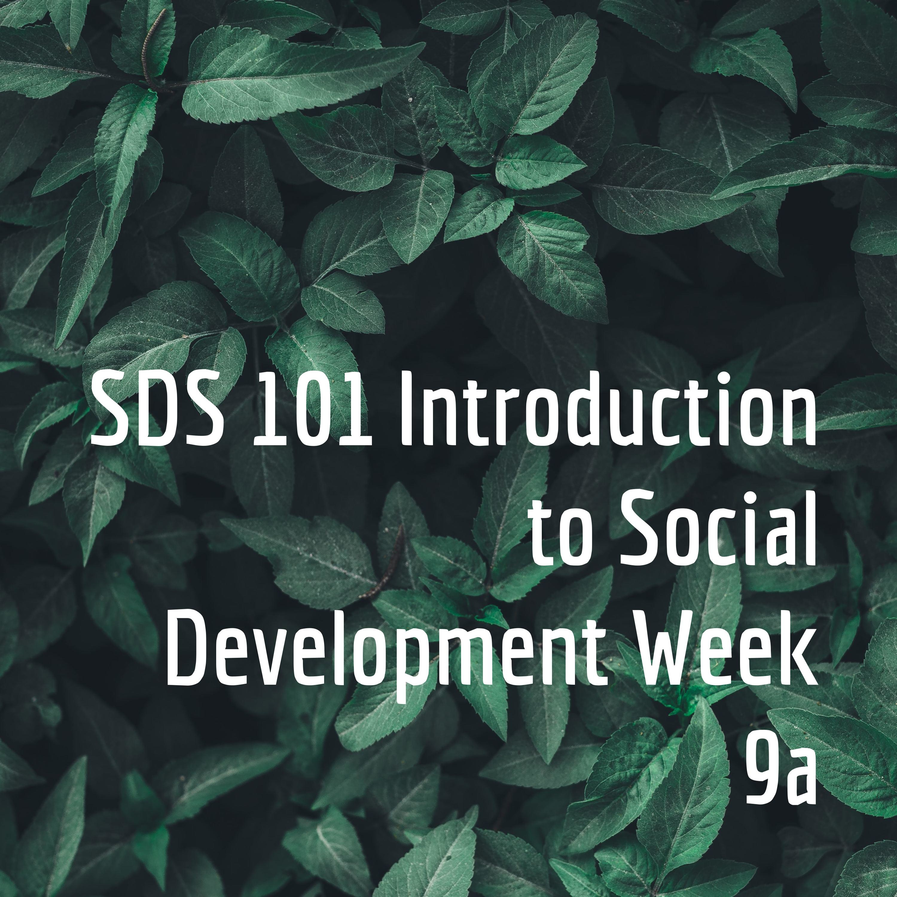 SDS 101 Introduction to Social Development