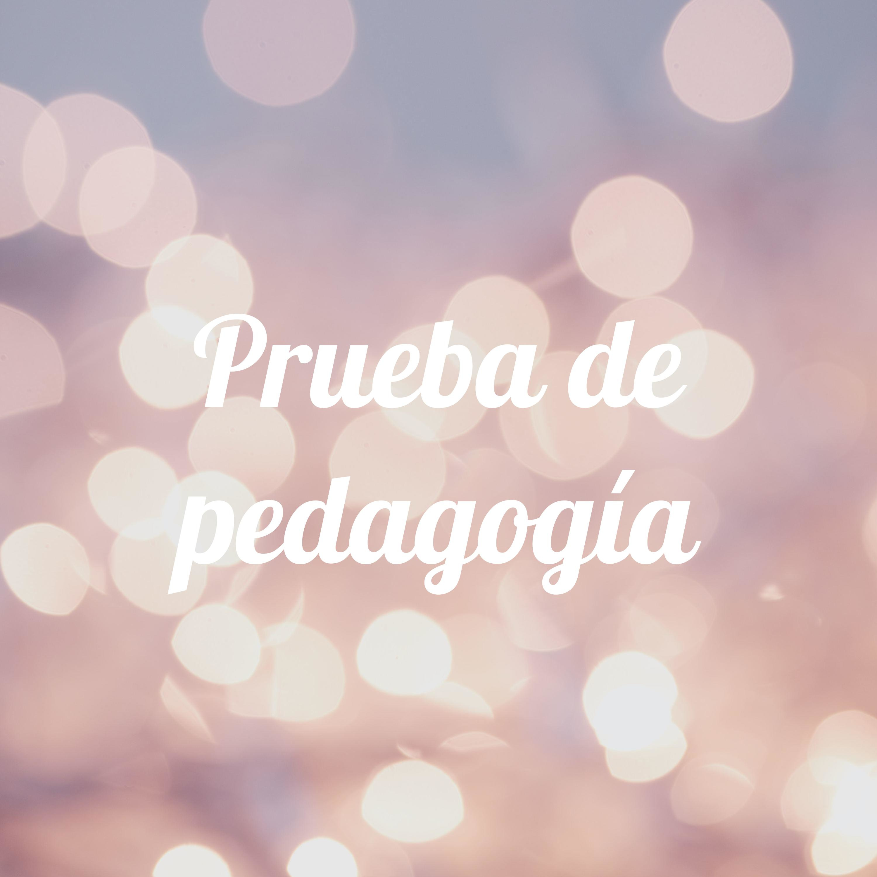 Pedagogía Hospitalaria 