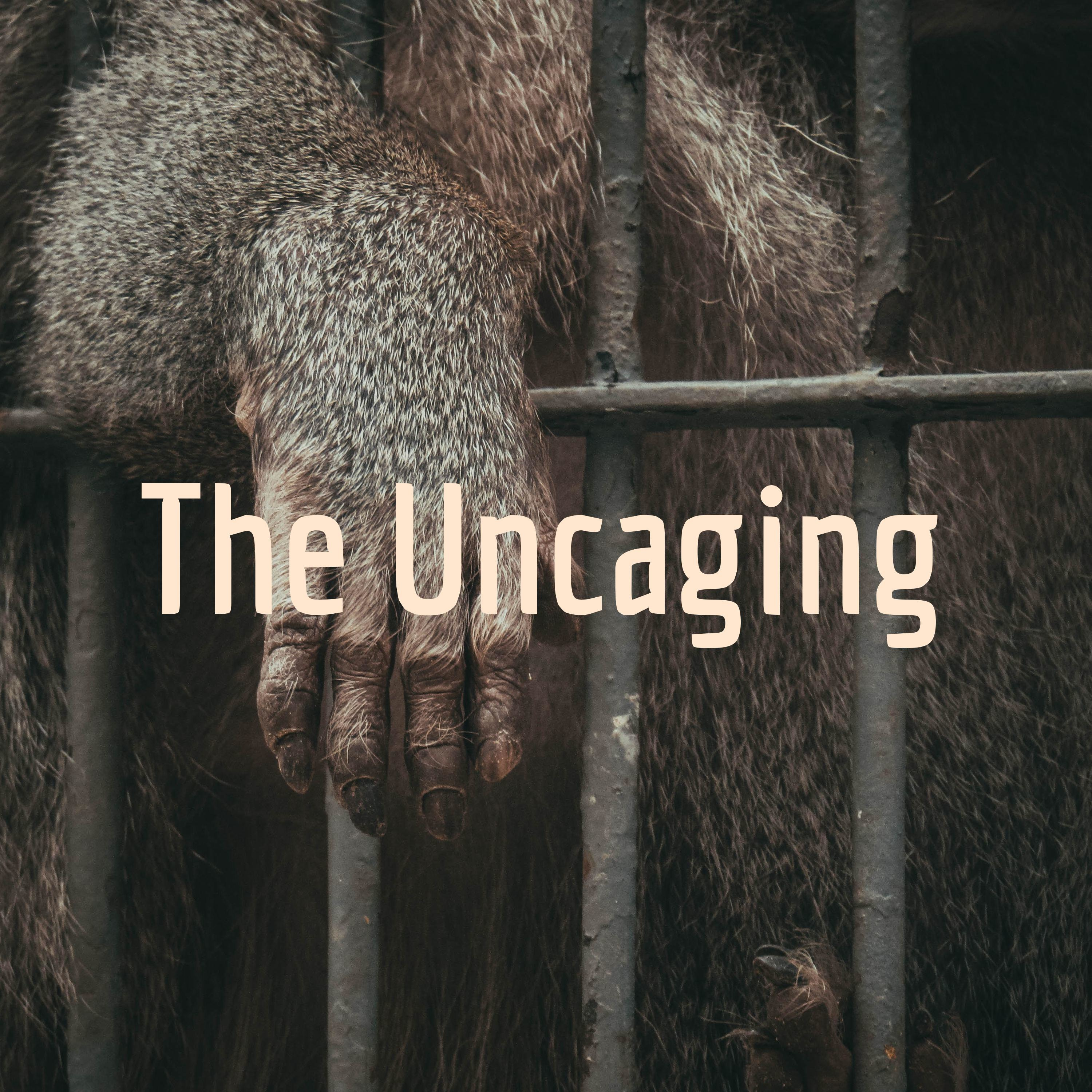 The Uncaging