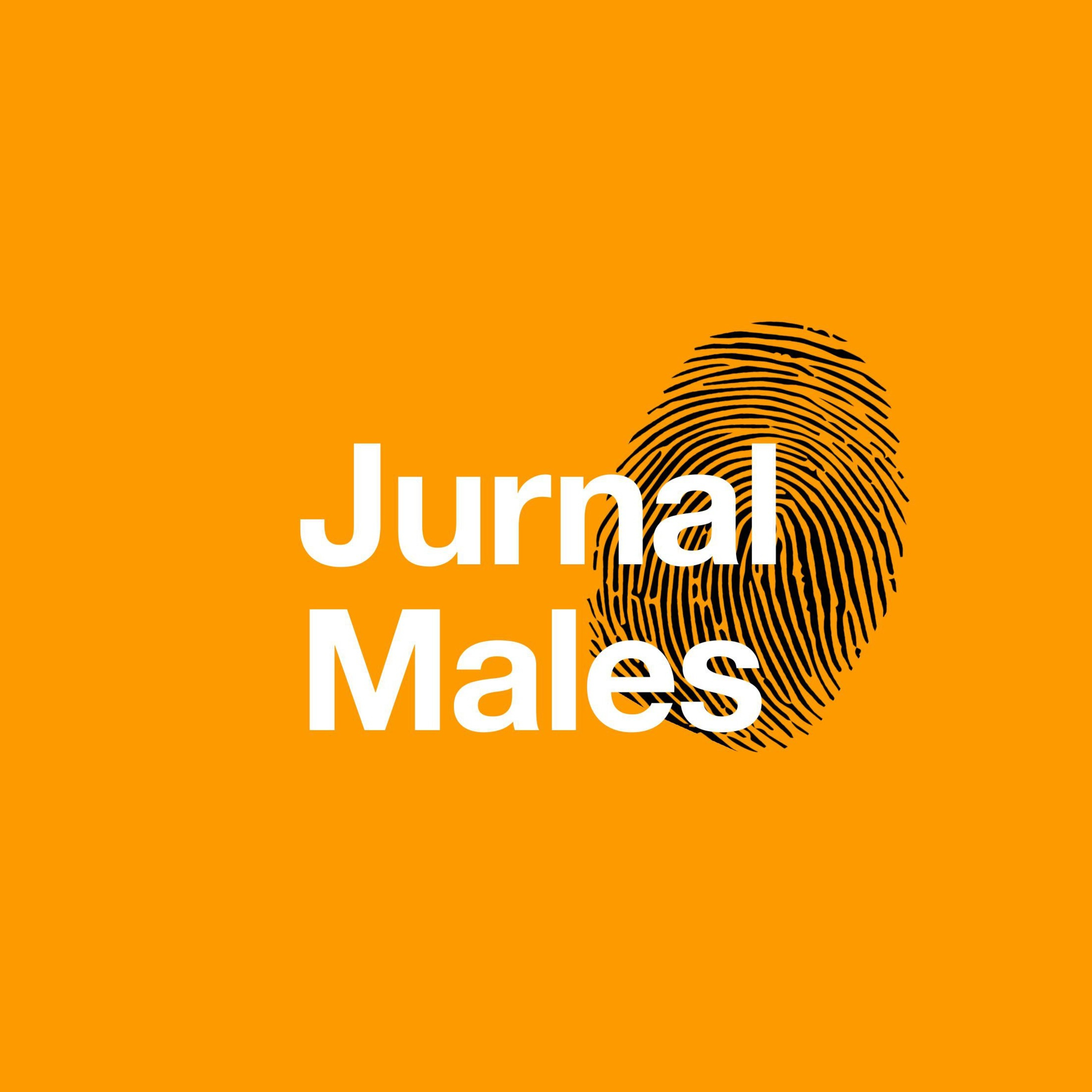 Journal of The Lazy Things