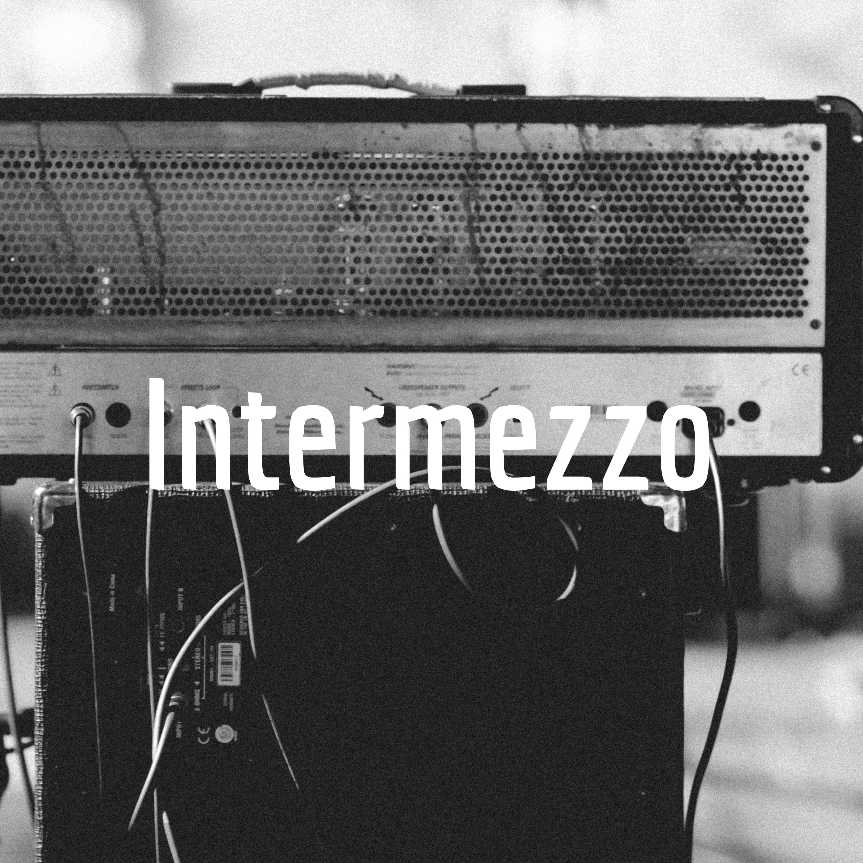 Intermezzo af Asger Rygaard-Sørensen & Oscar Bøttcher Videsen