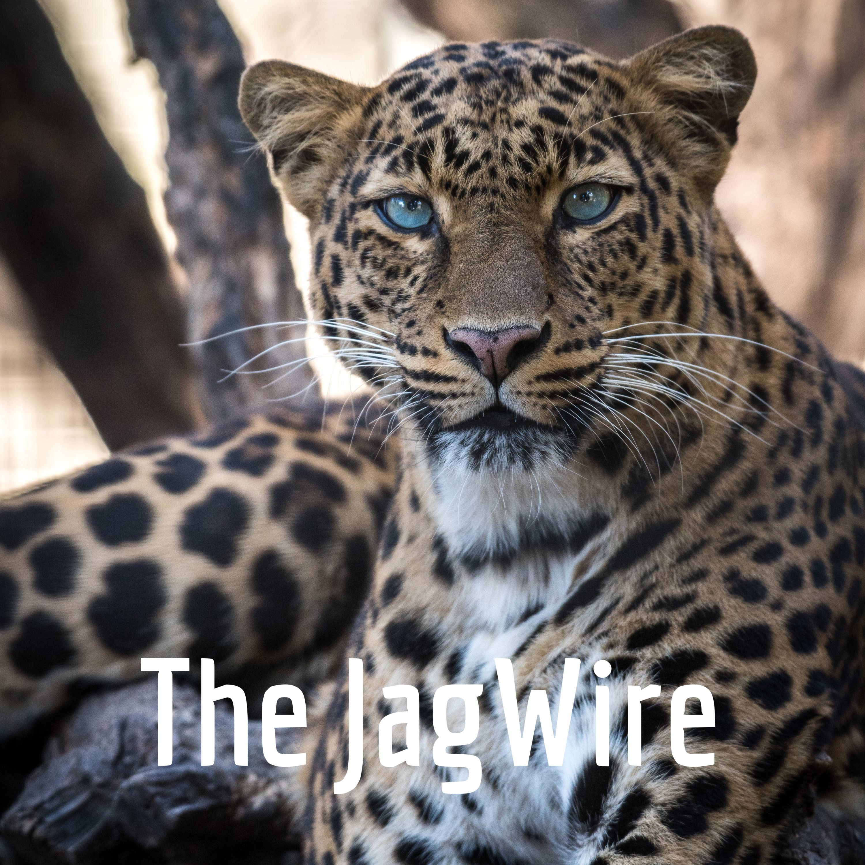 The JagWire