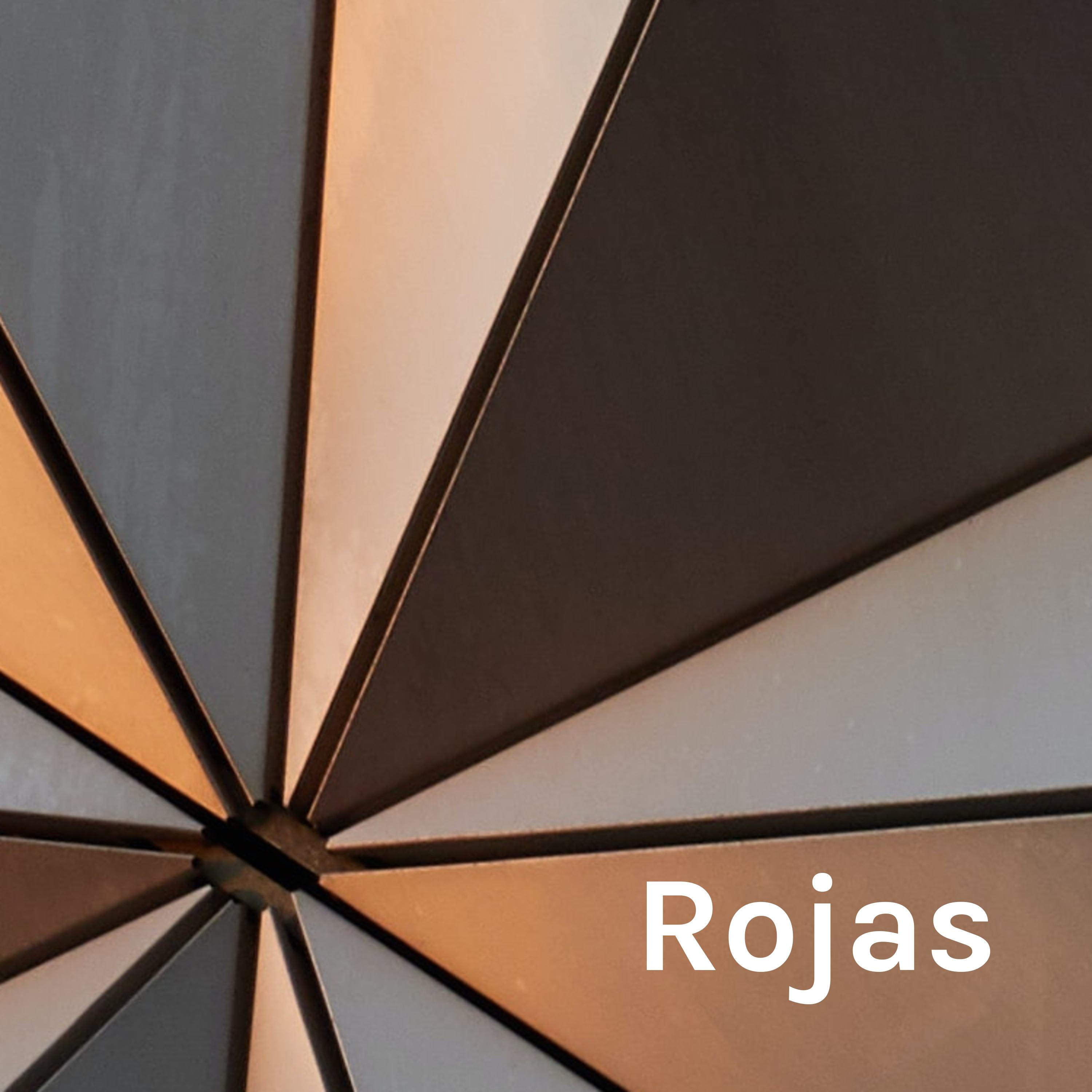 Rojas - Multimedia Communication
