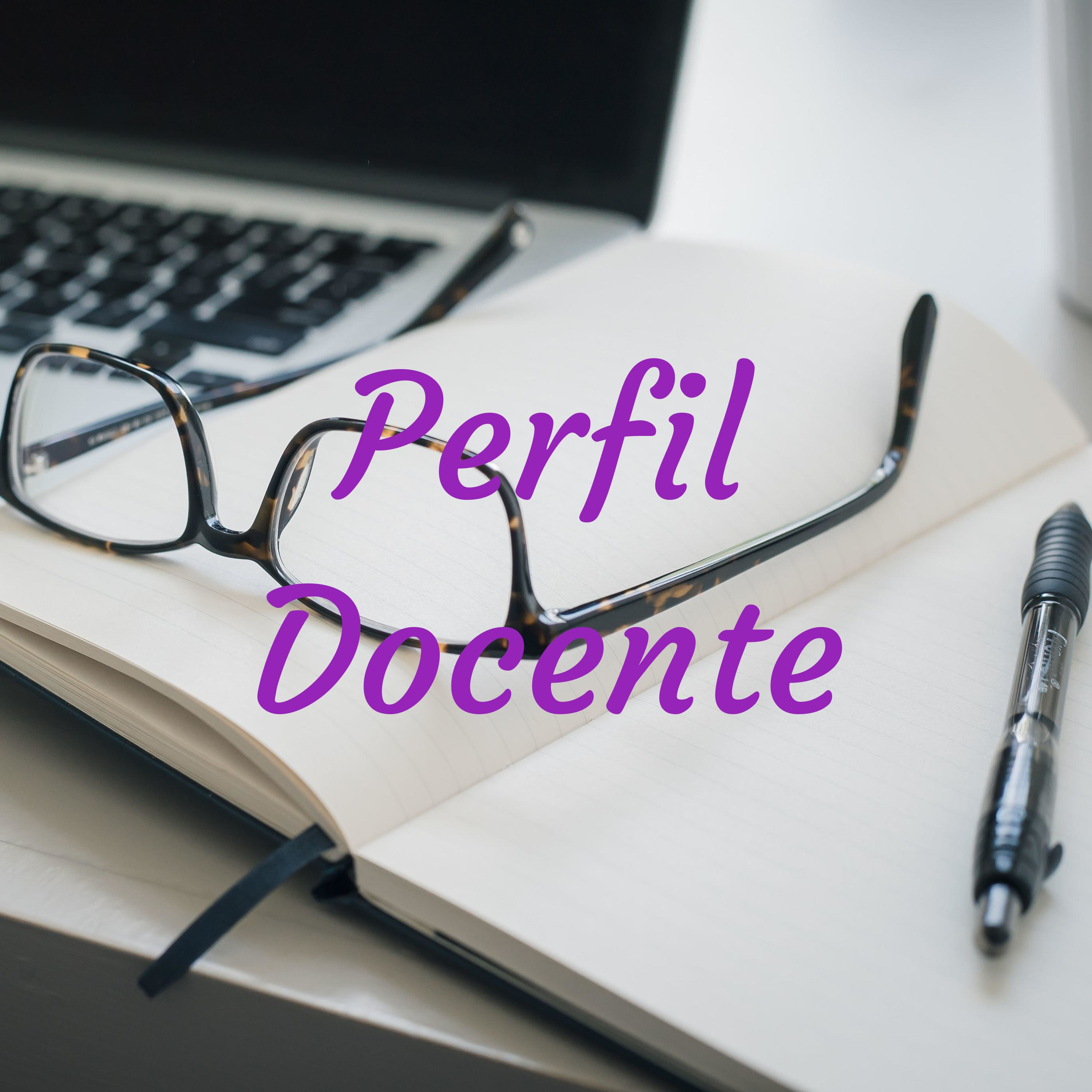 Perfil Docente