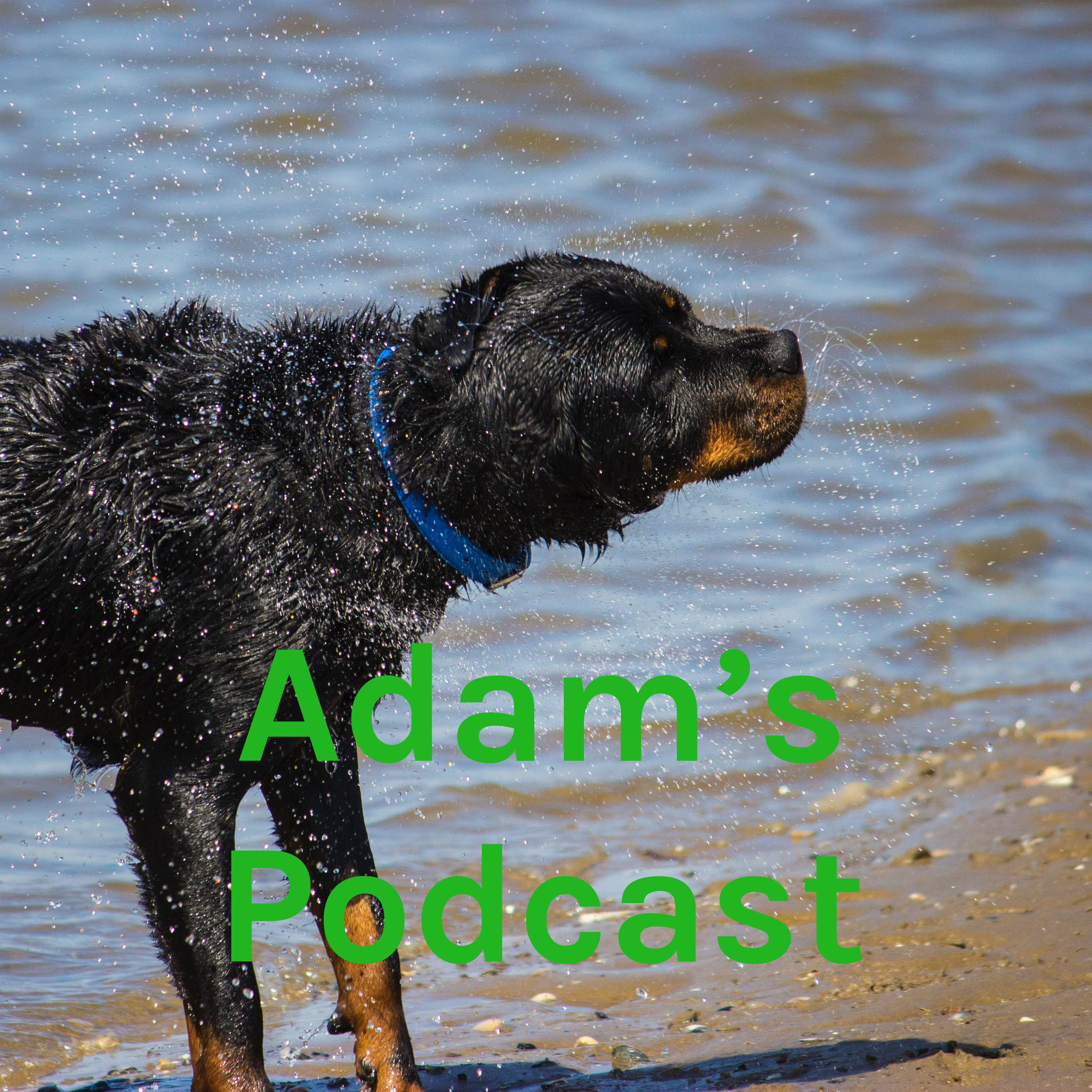 Adam's Podcast