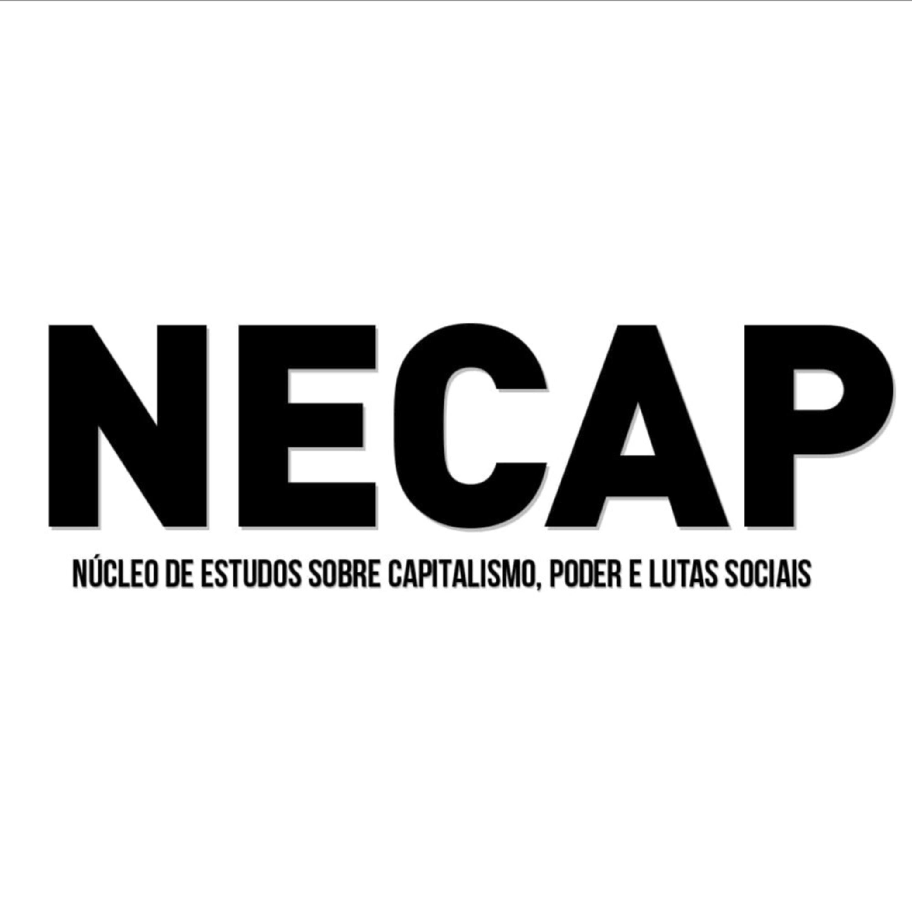 Núcleo de Estudos sobre Capitalismo, Poder e Lutas Sociais (NECAP-UFRRJ)