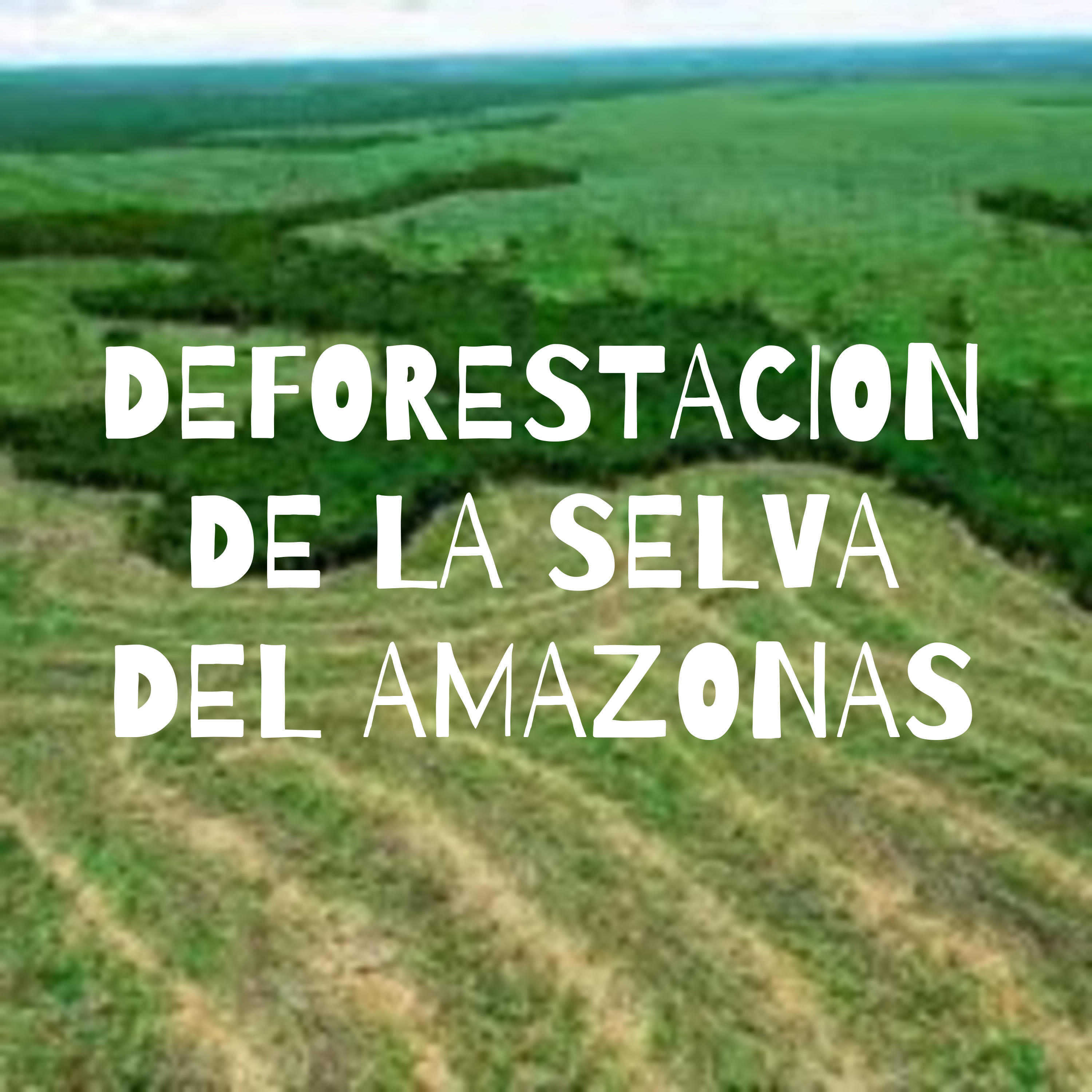 DEFORESTACION DE LA SELVA DEL AMAZONAS