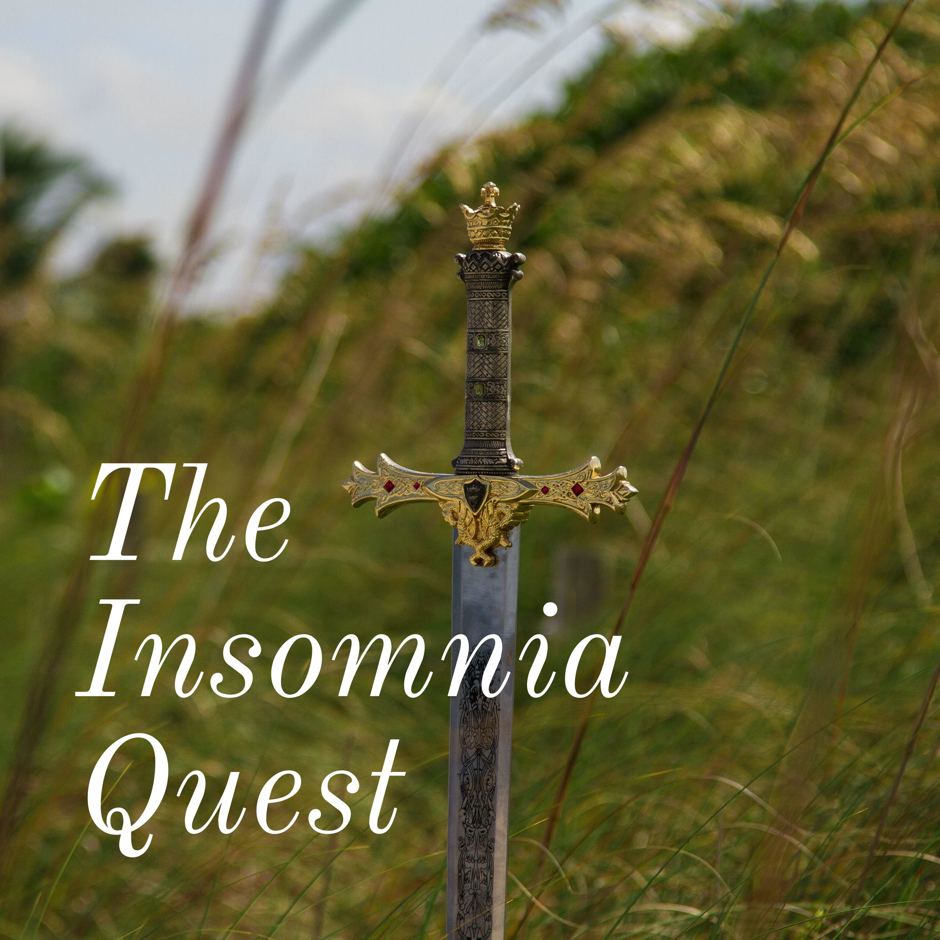 The Insomnia Quest