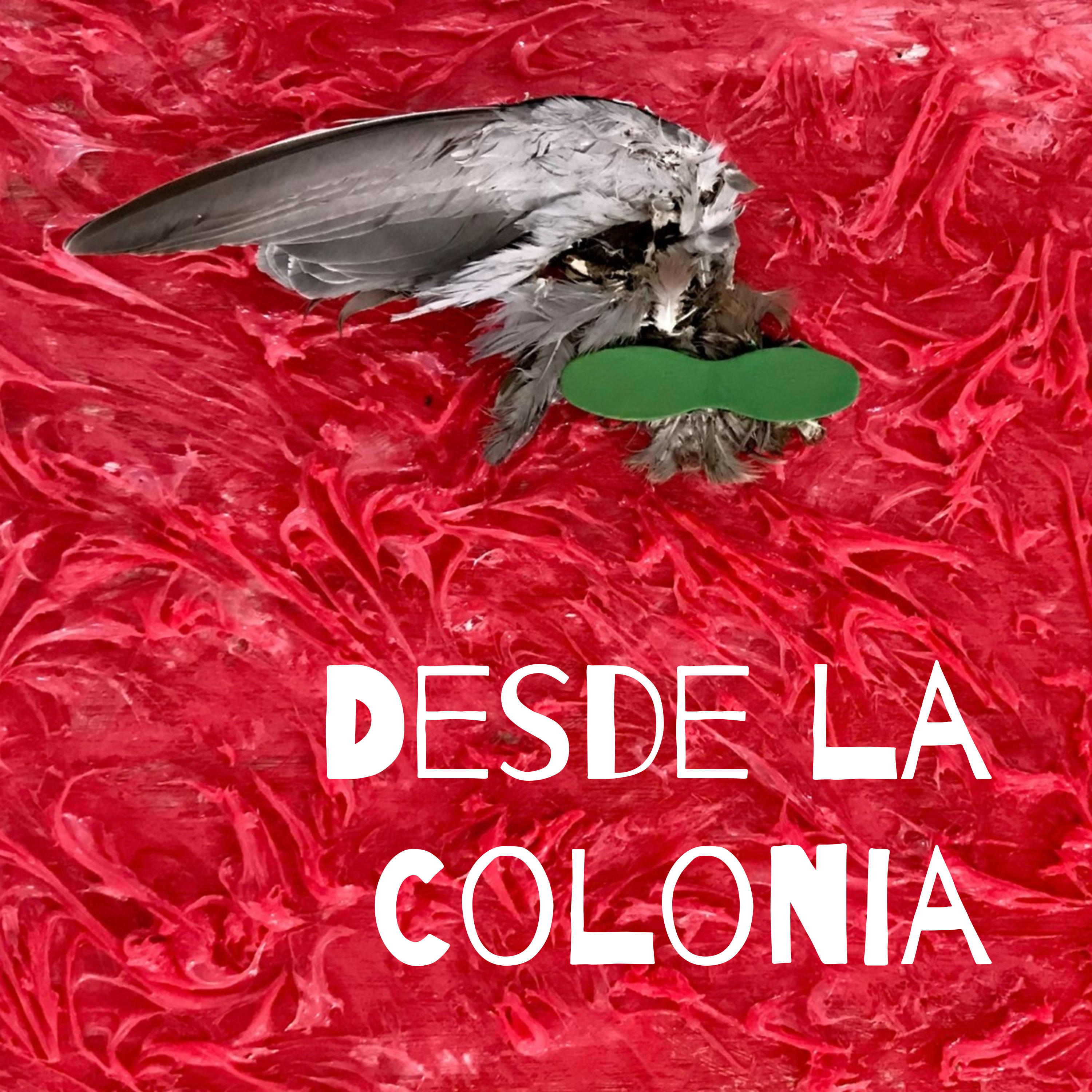 Desde la Colonia podcast artwork