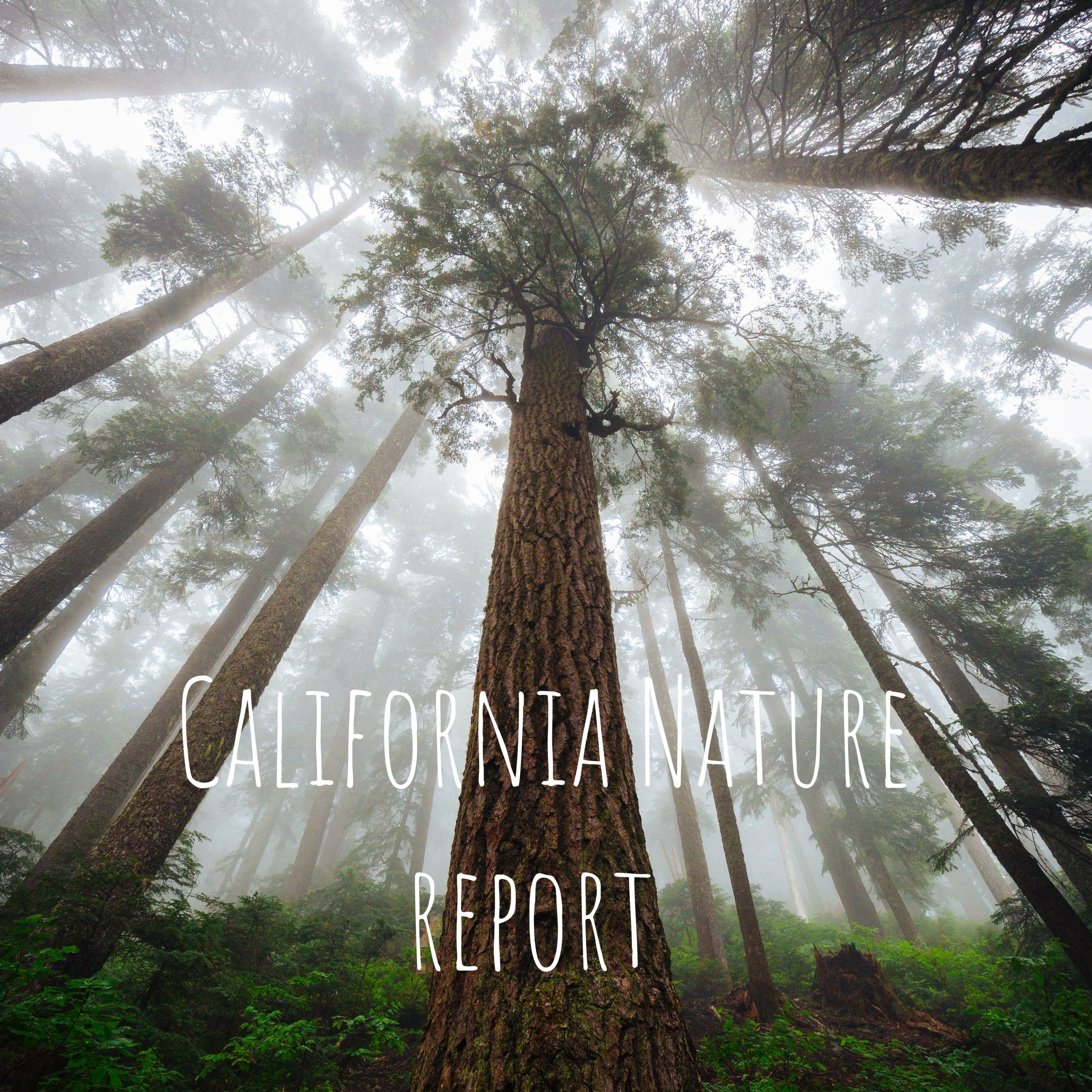 Nature report 
