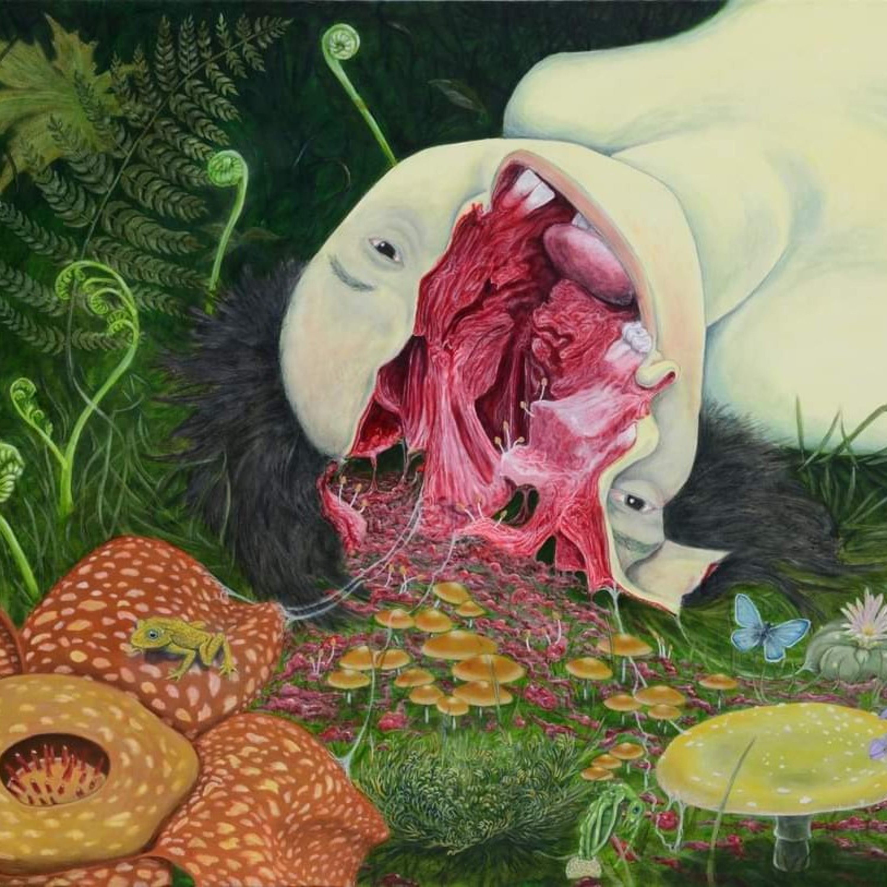 Nadie sospecharia de una mariposa Nadie sospecharia de una mariposa