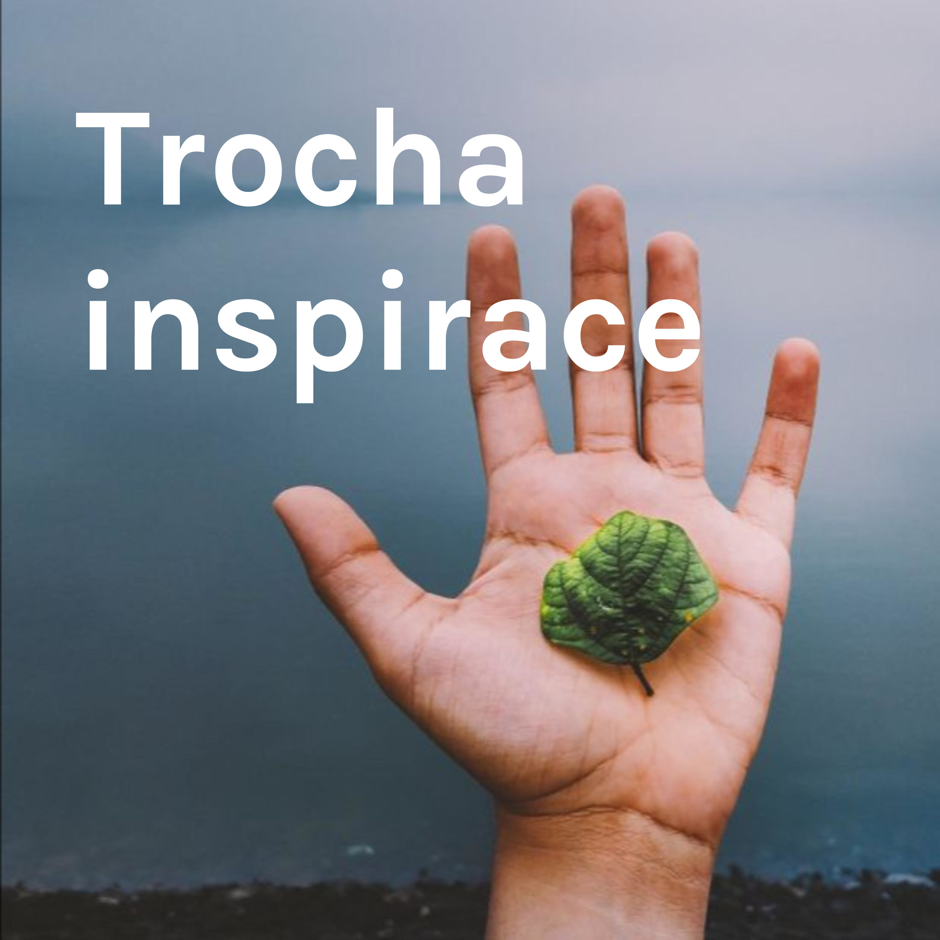 Trocha inspirace cover art