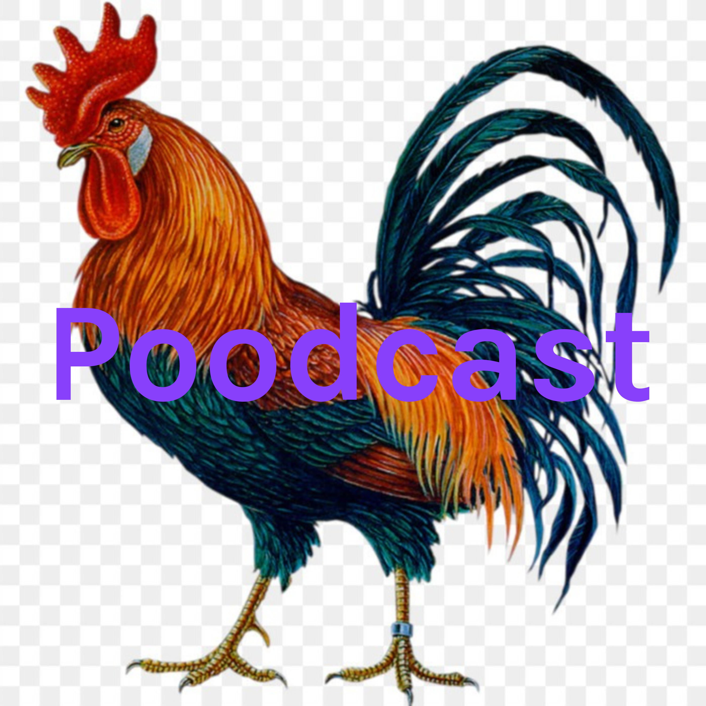 Poodcast